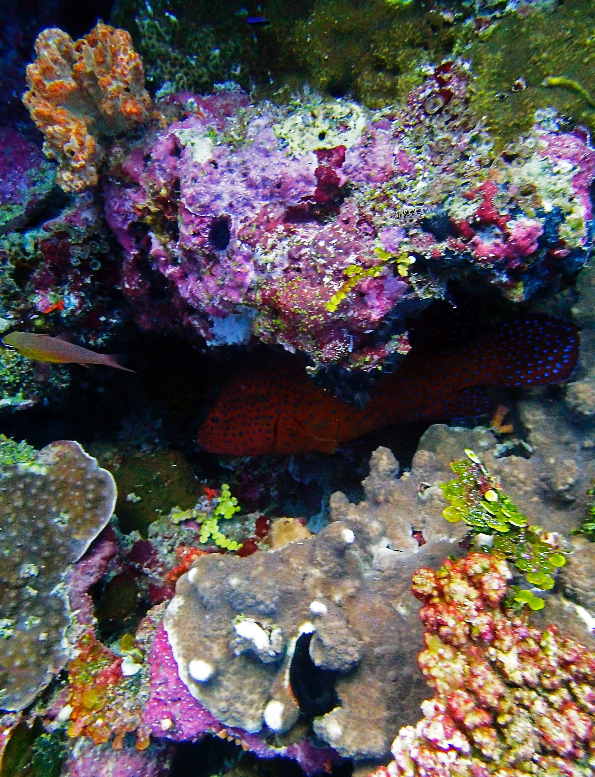 P4250905.jpg