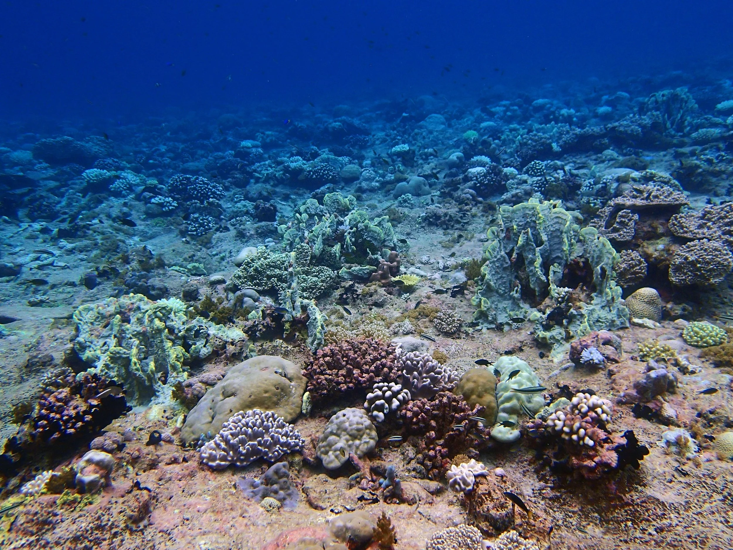 P4250922.jpg
