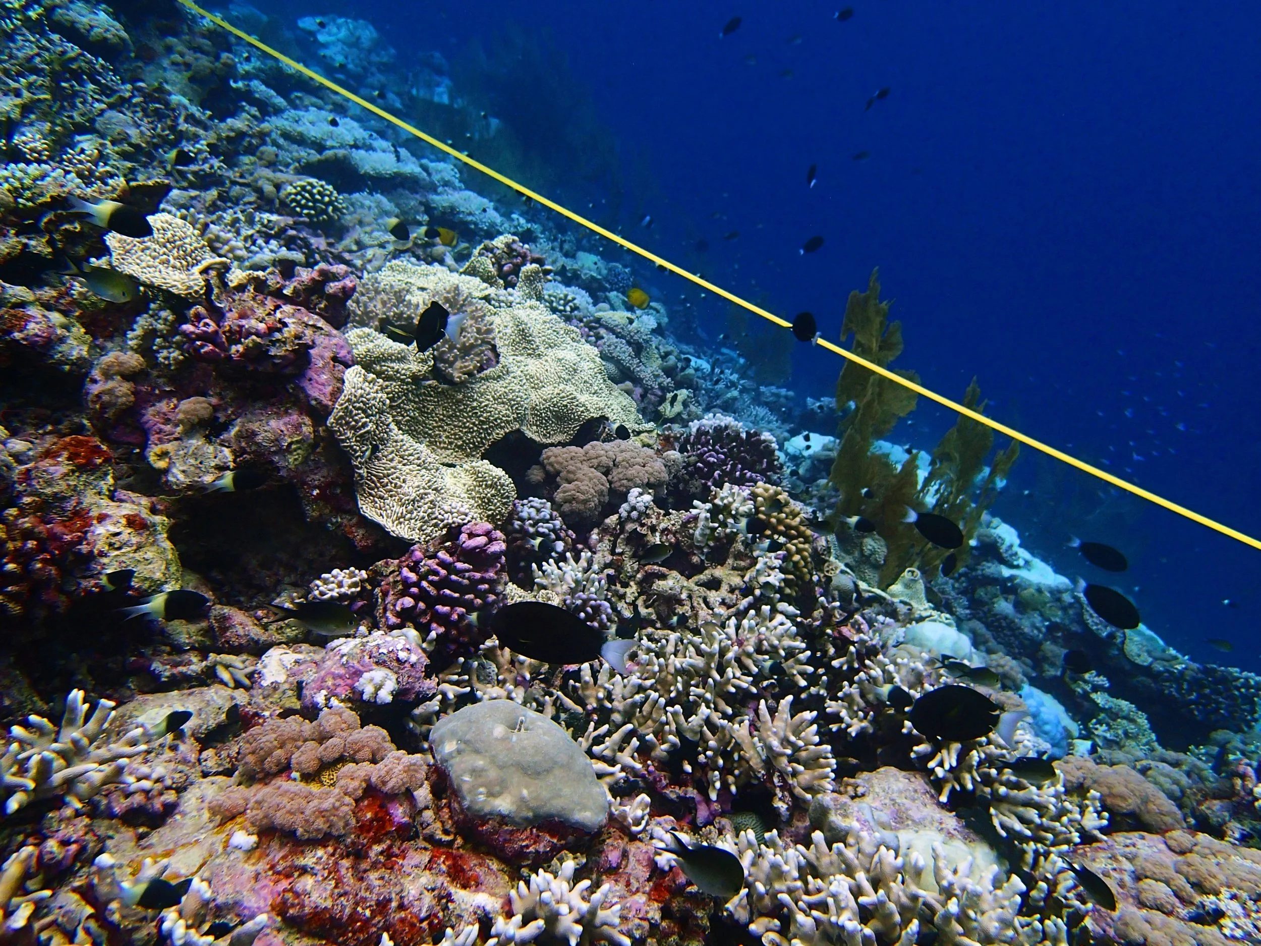 P4250955.jpg