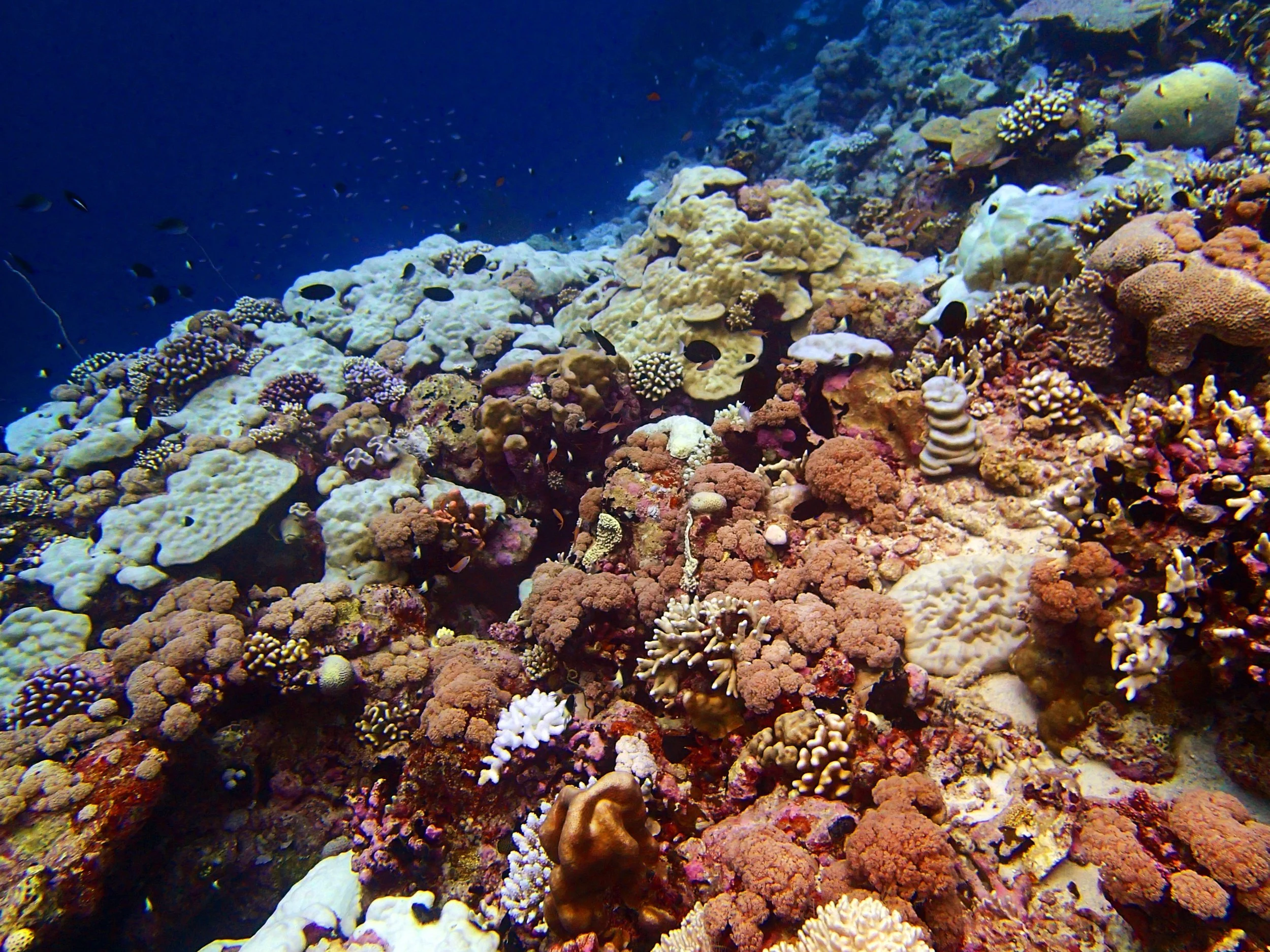 P4250969.jpg