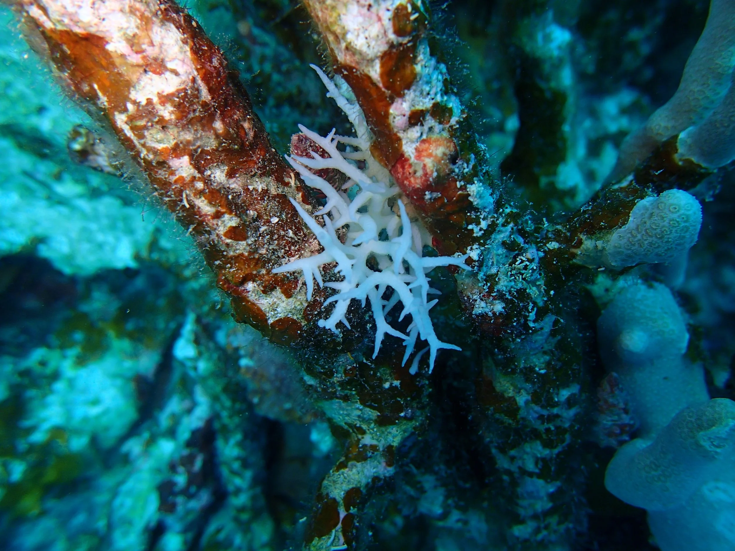 P4250855.jpg