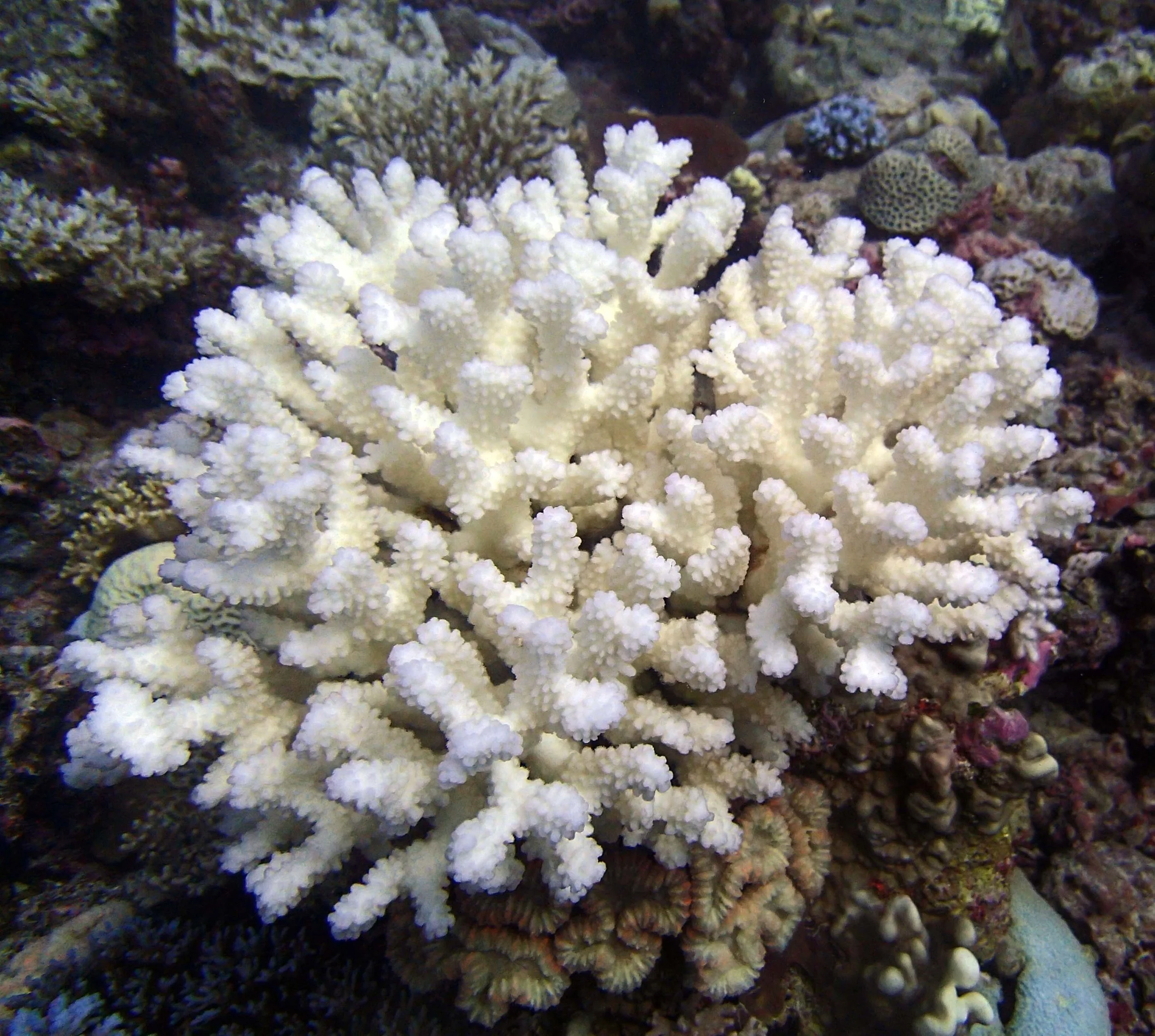 P4260839.jpg