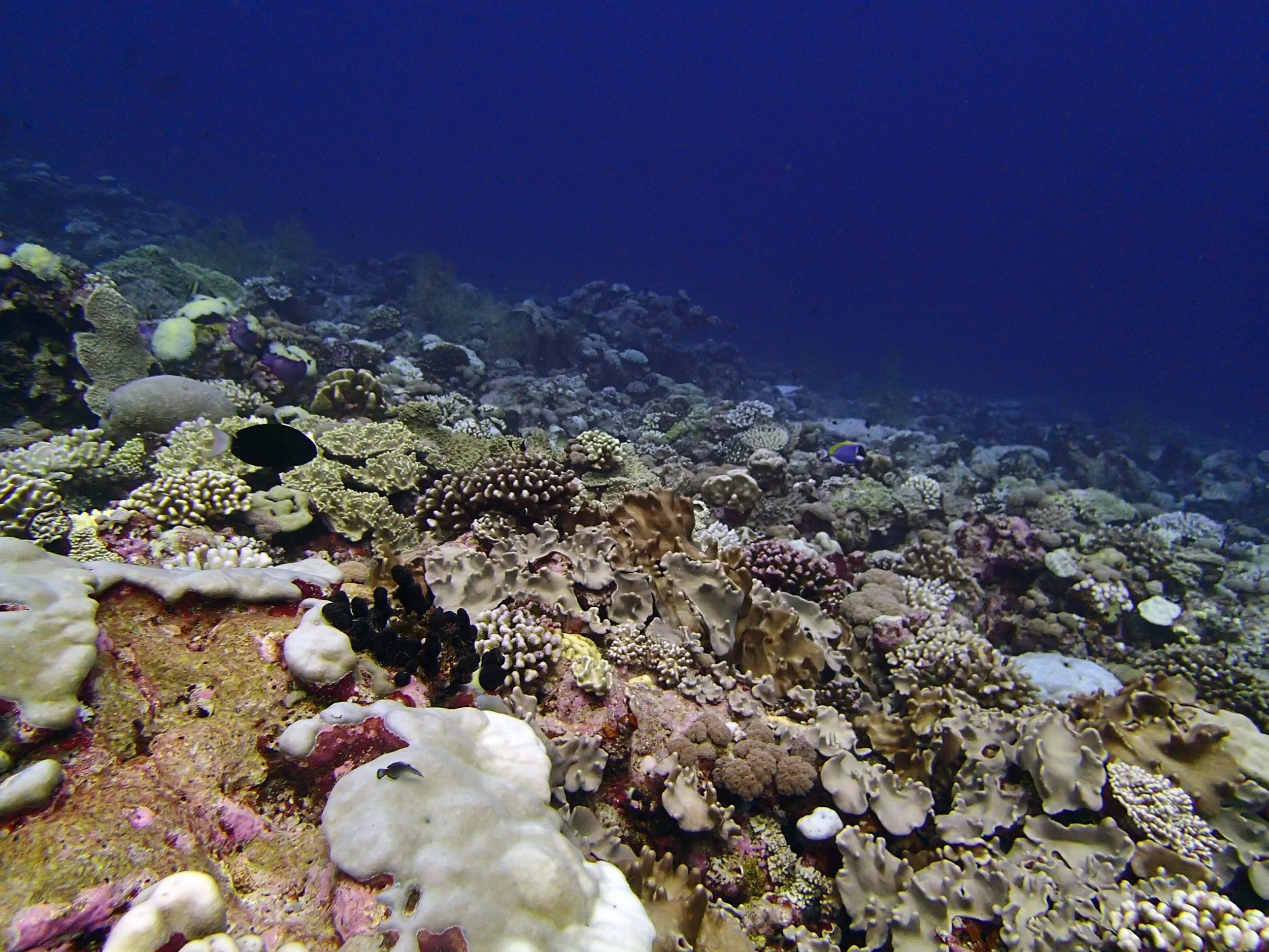 P4280860.jpg