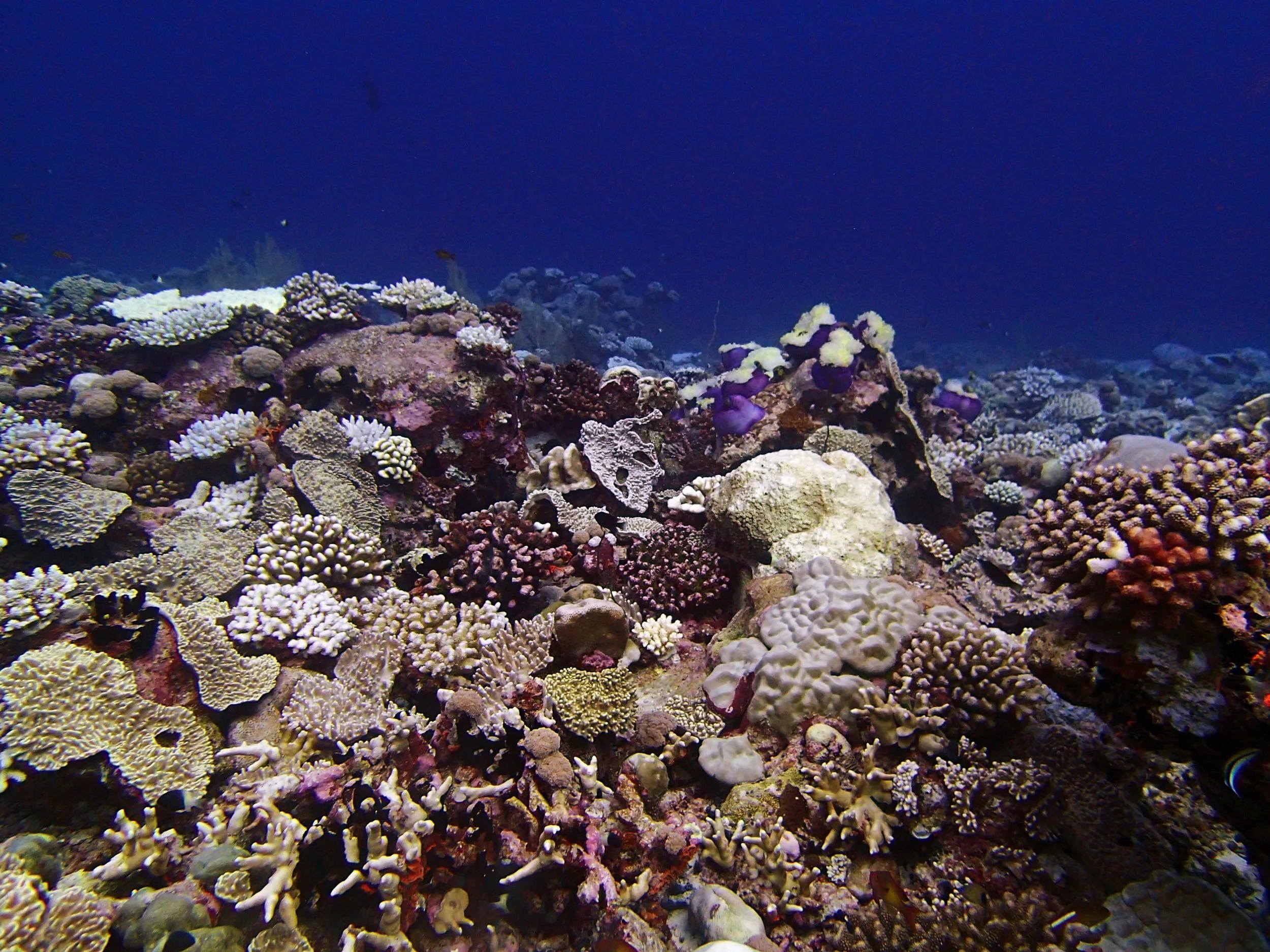 P4280863.jpg