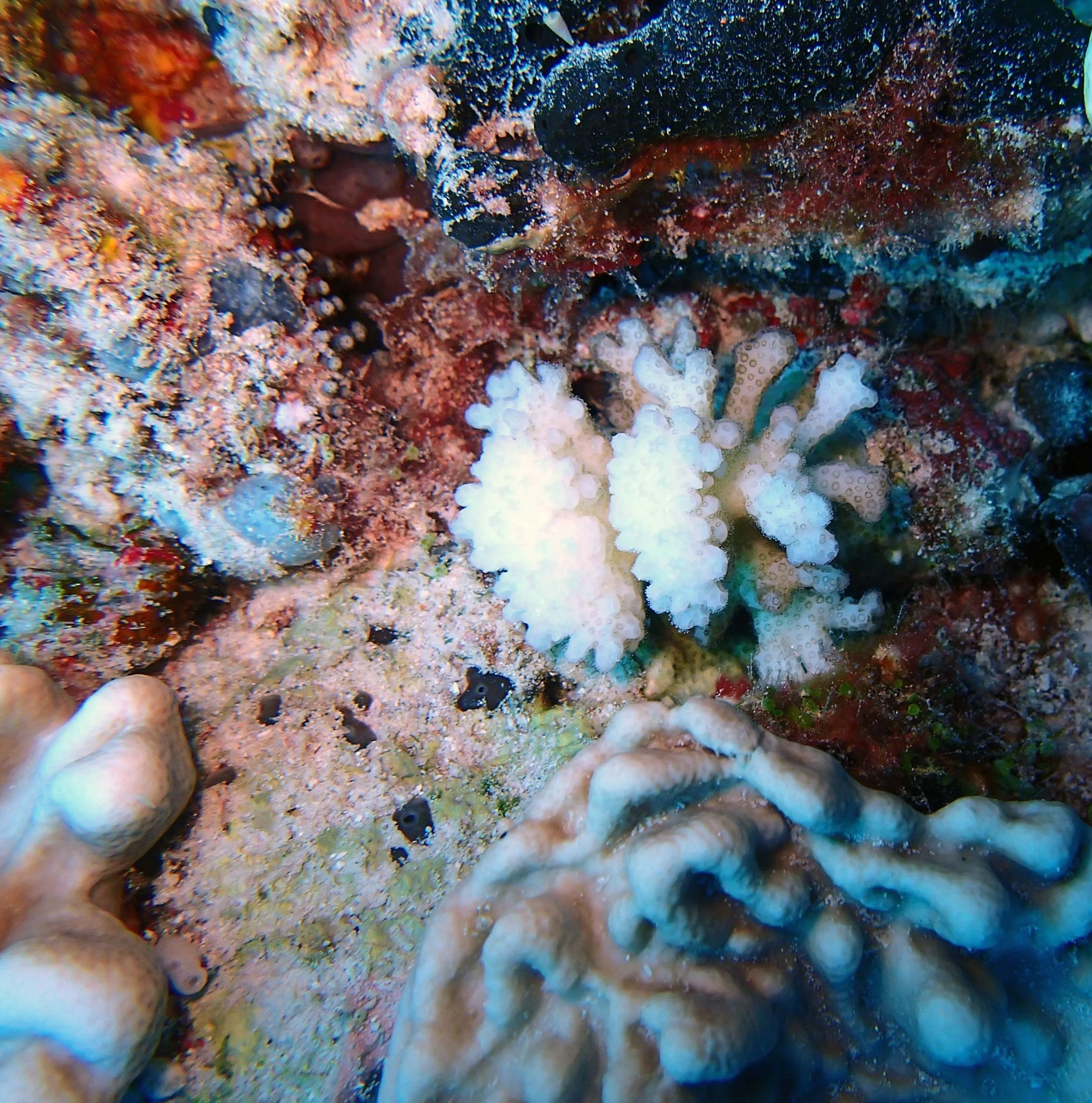 P4280881.jpg