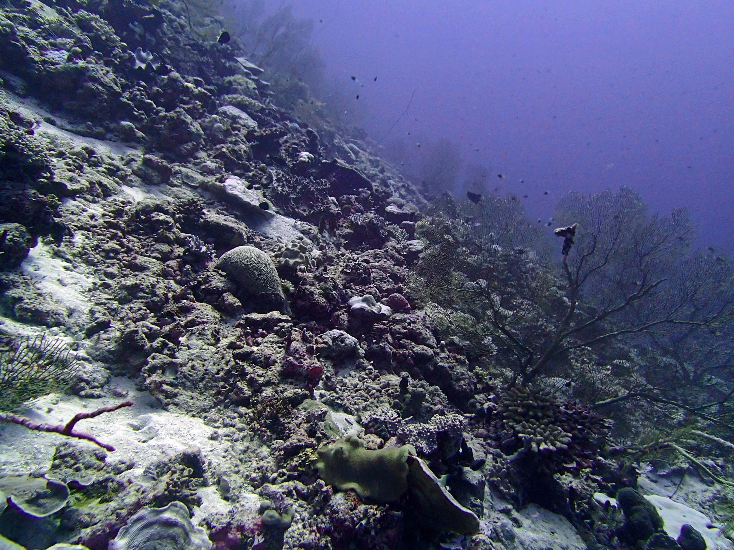 P4290837.jpg