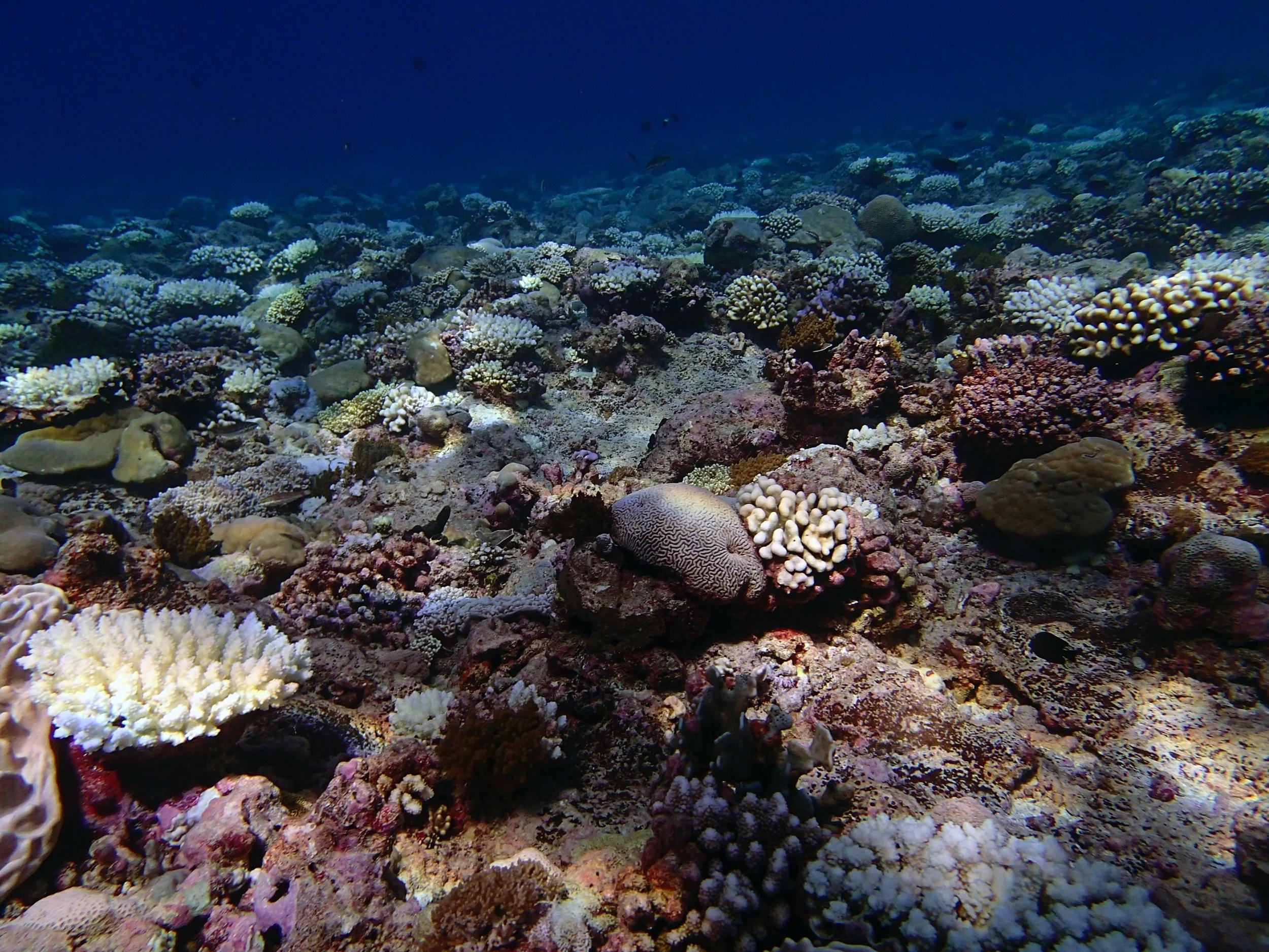 P4290884.jpg