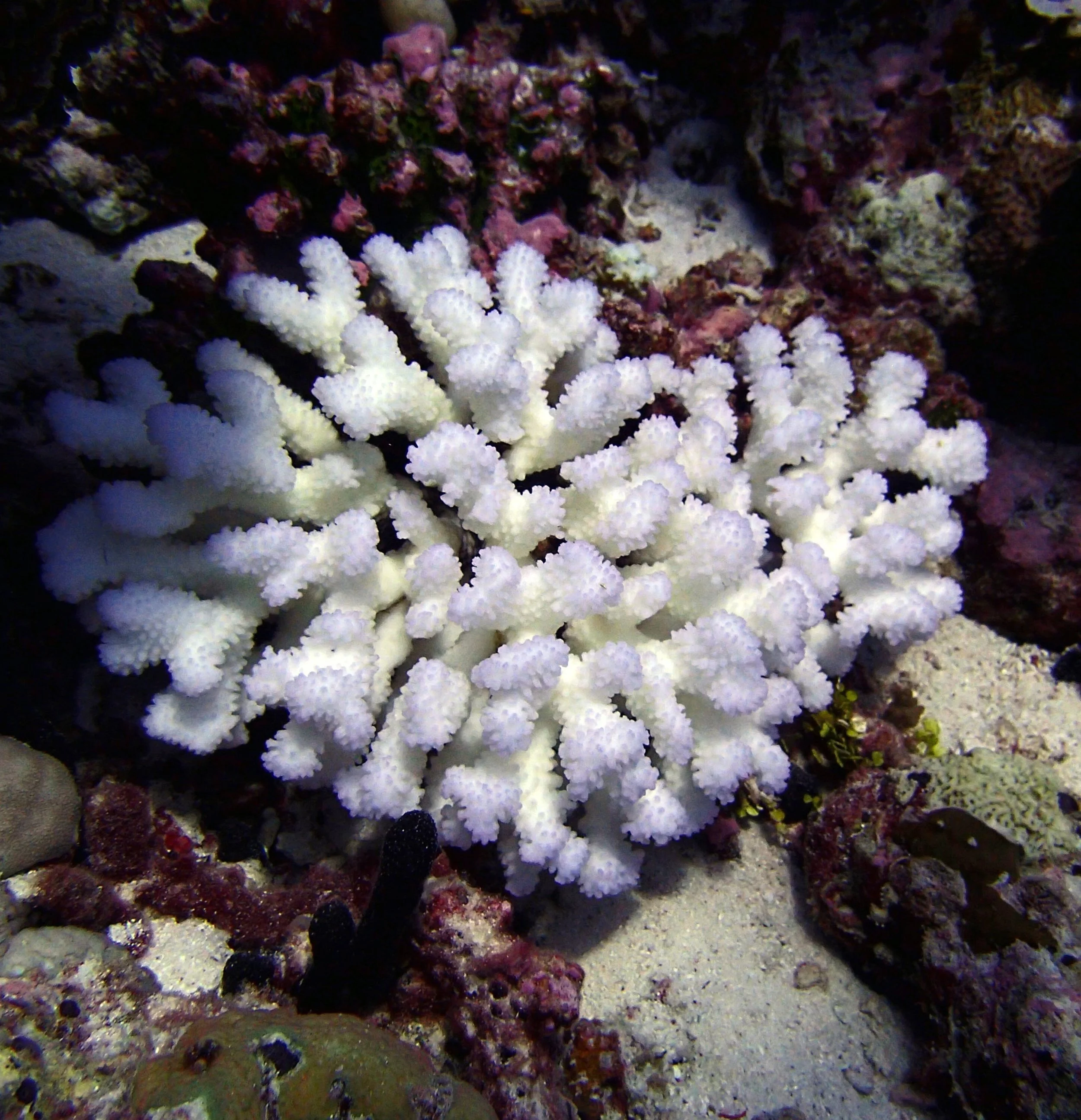 P4290921.jpg