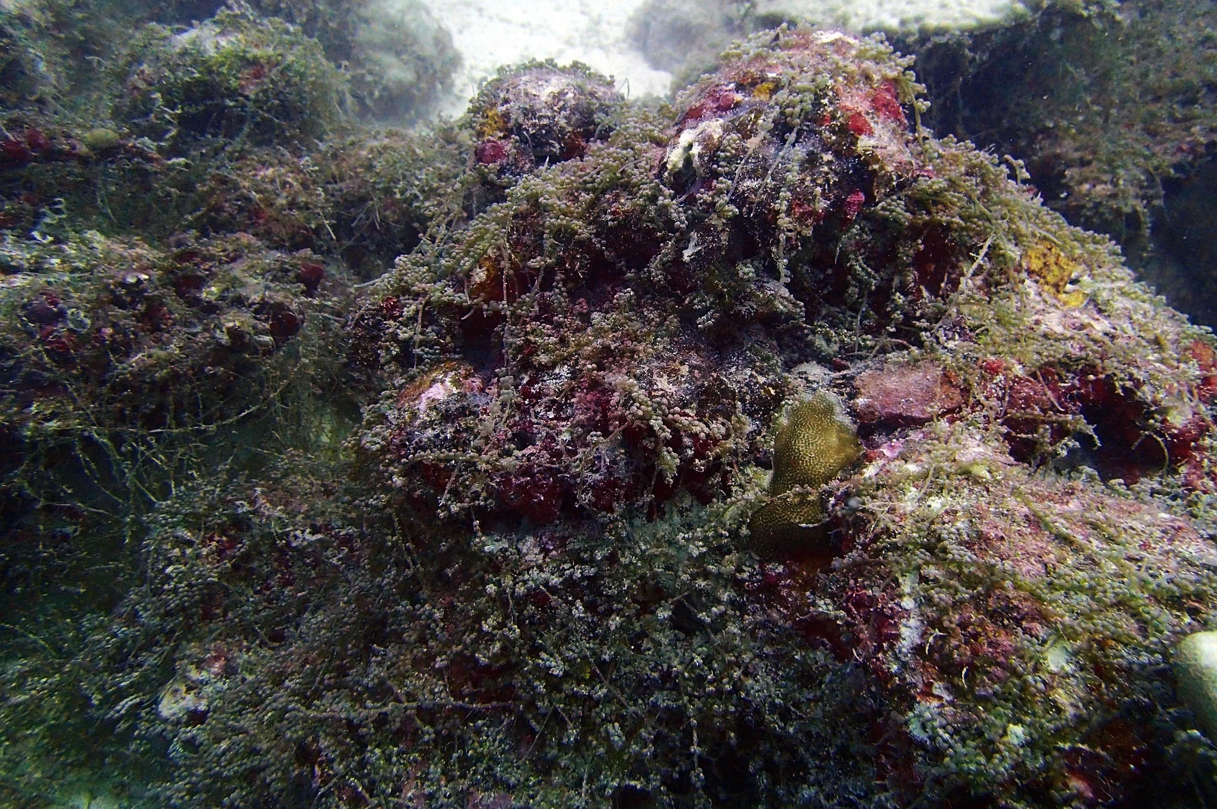 P4290838.jpg