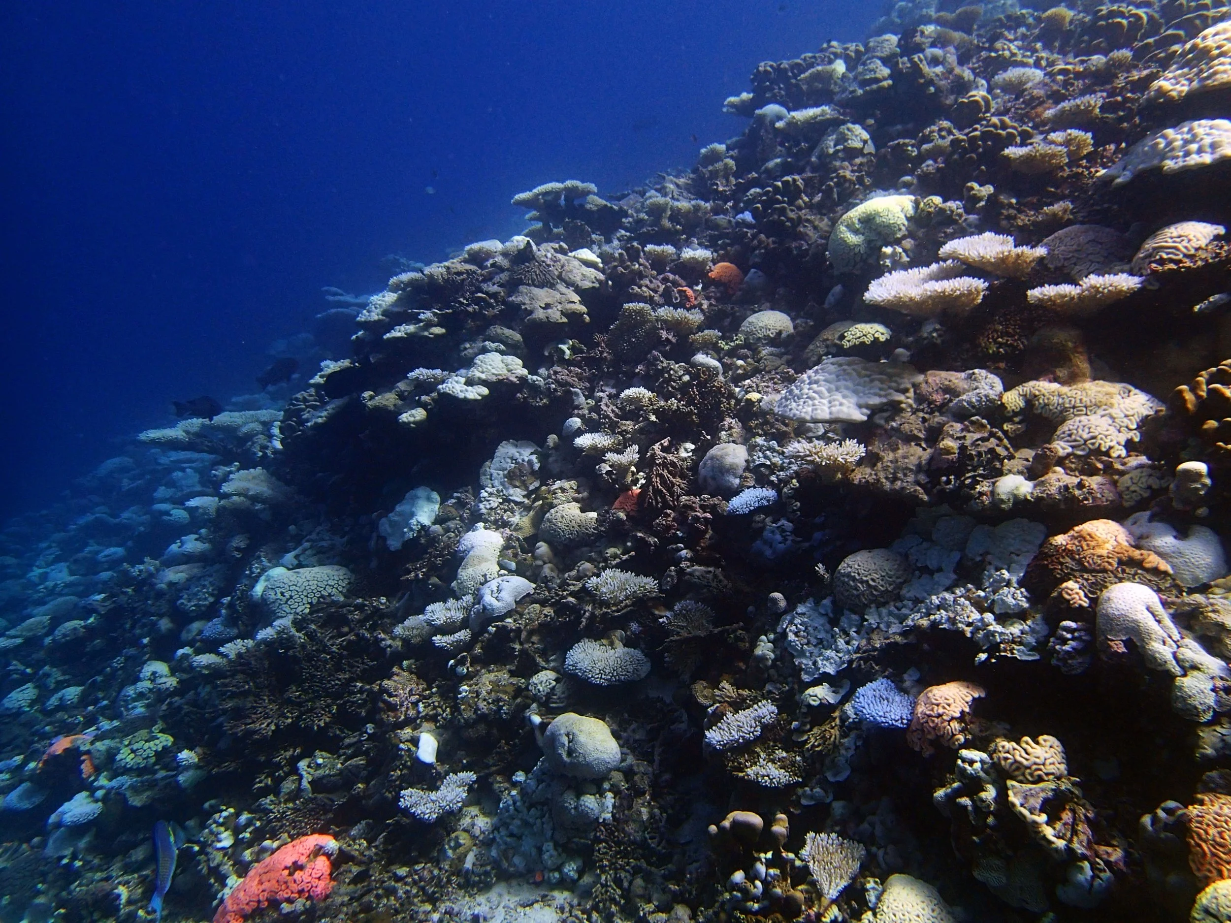 P4290897.jpg