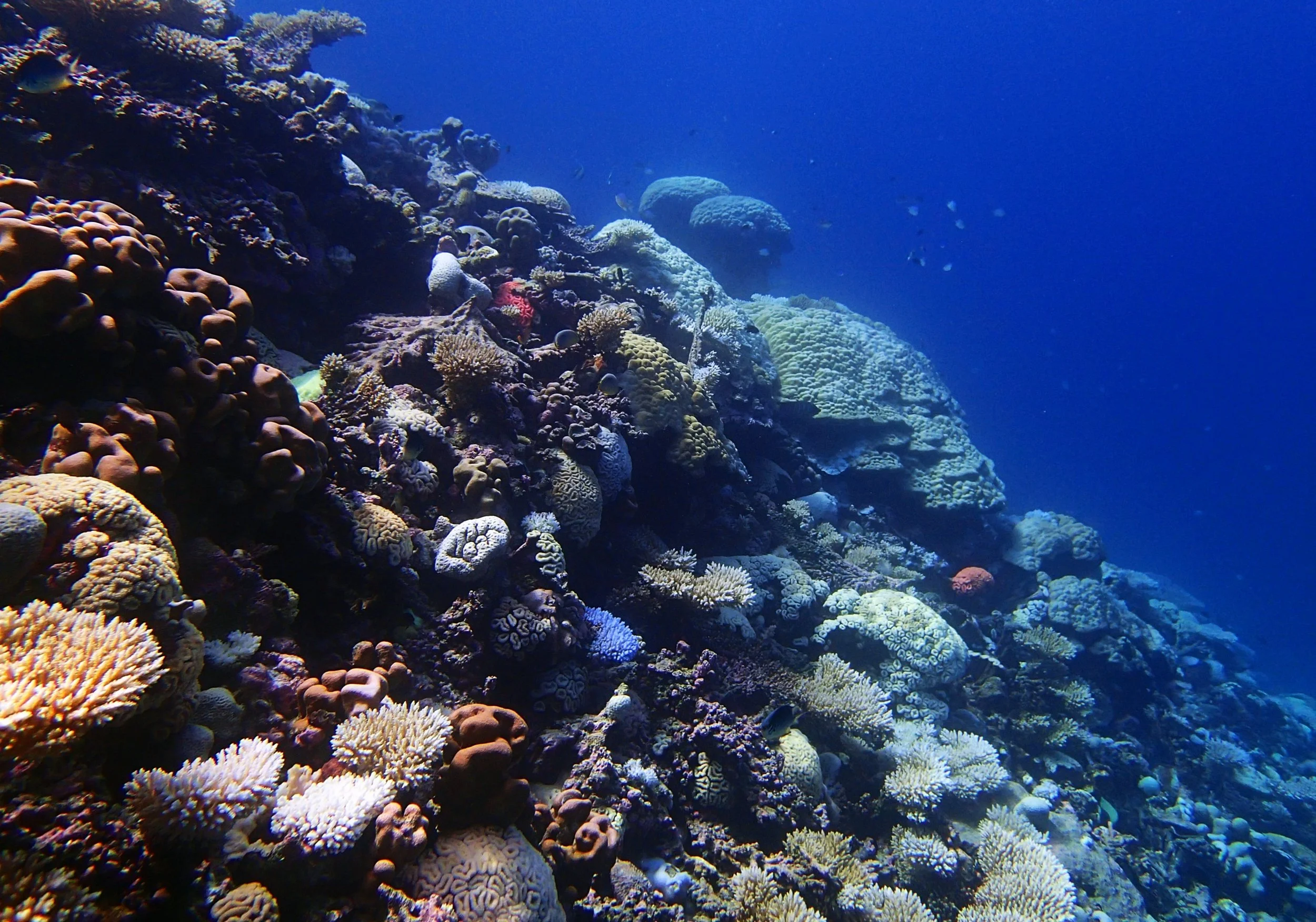P4290898.jpg