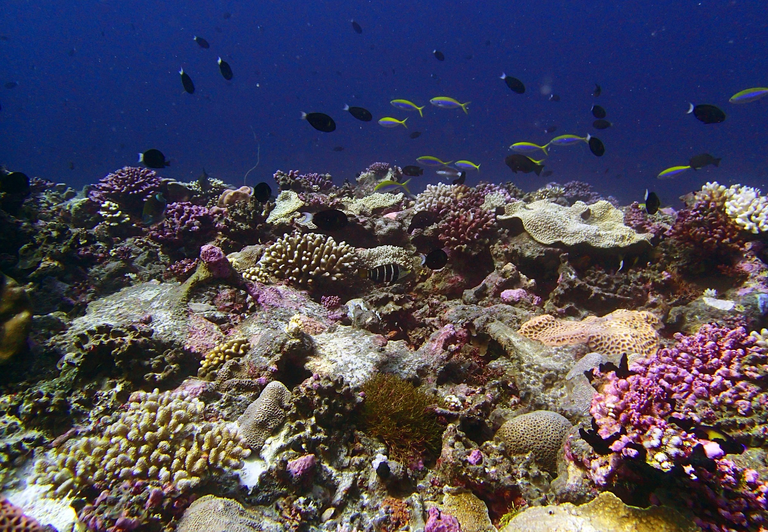P4240863.jpg