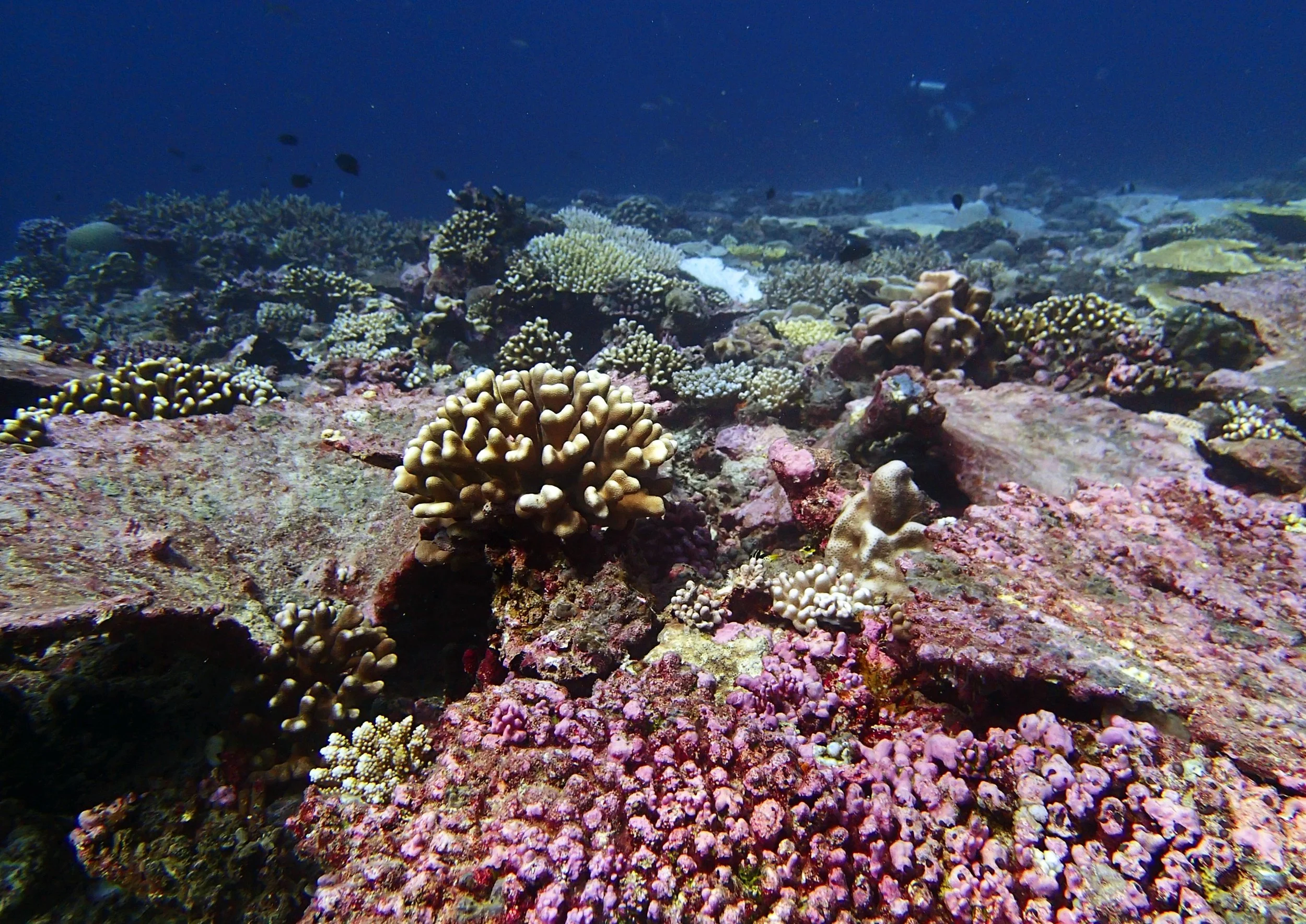 P4240870.jpg