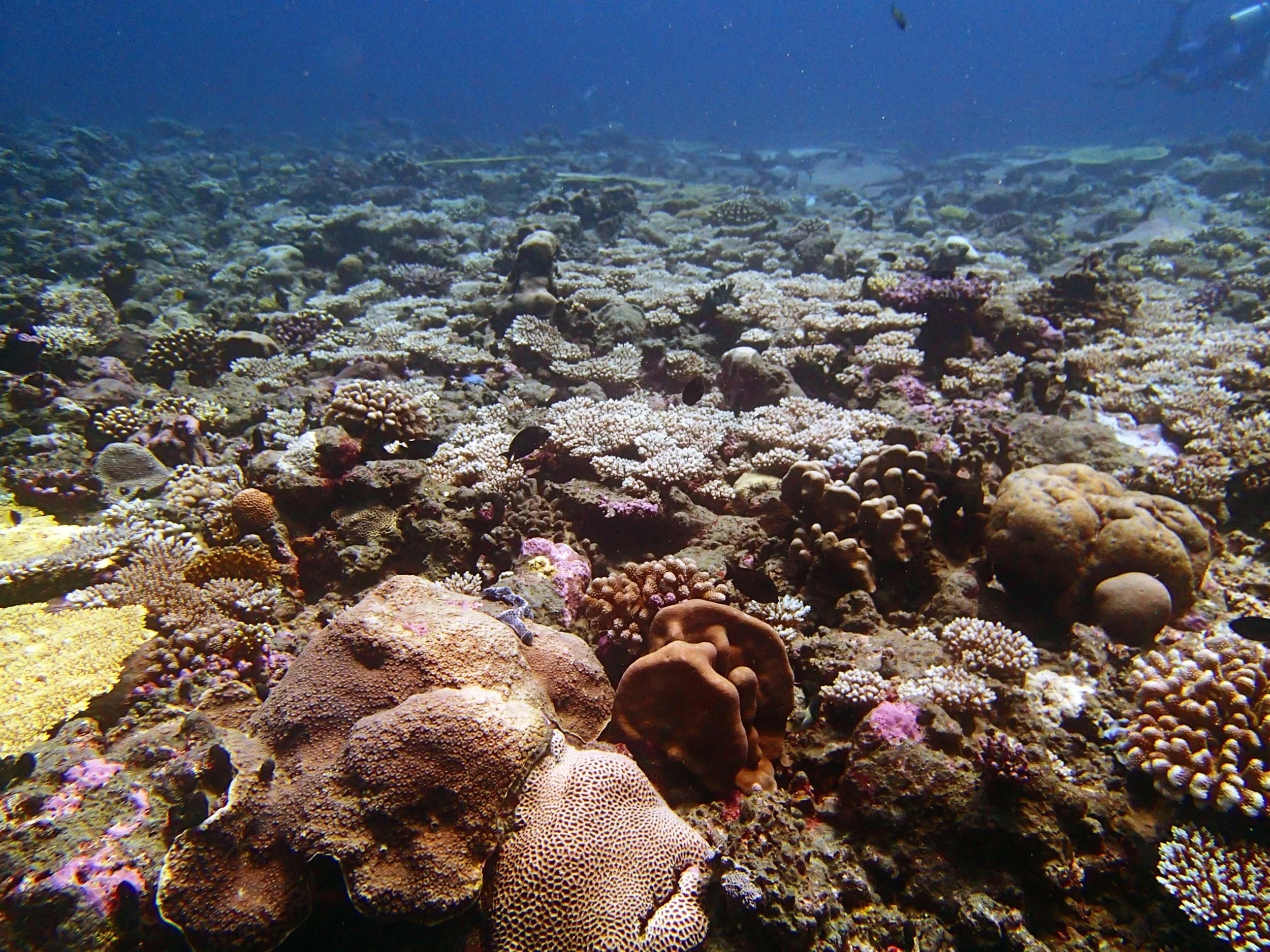 P4240931.jpg