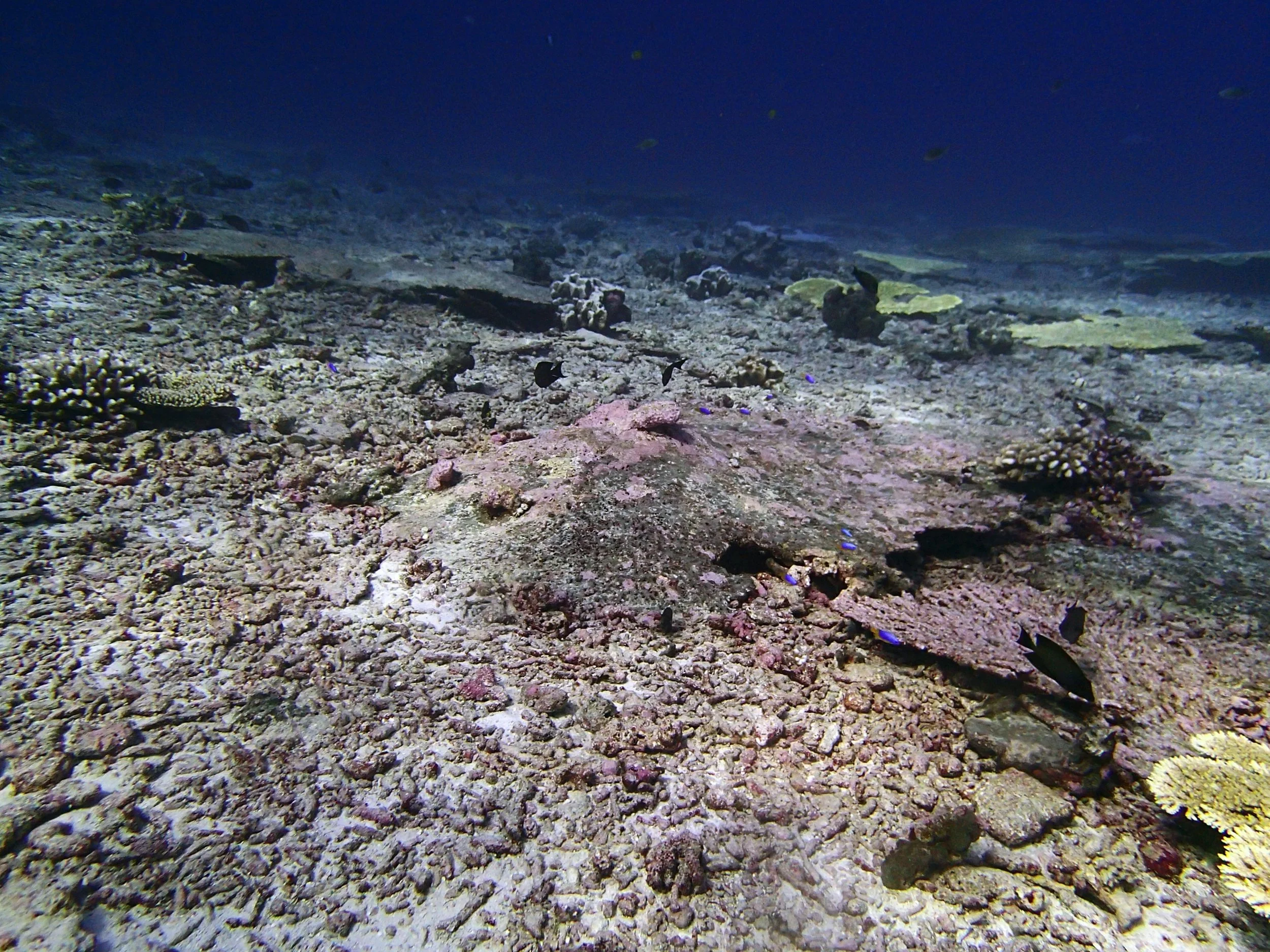 P4260861.jpg