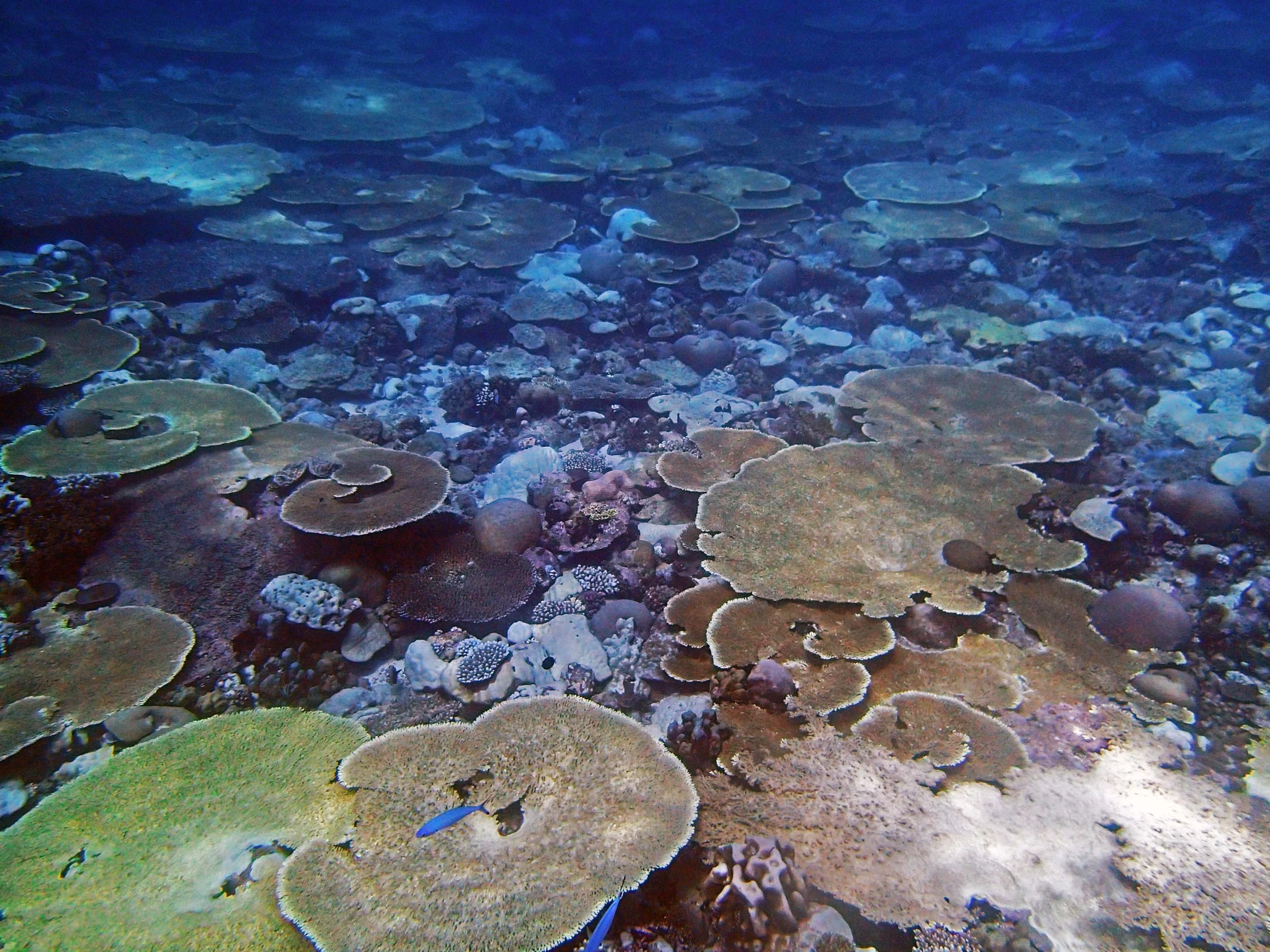 P4260924.jpg