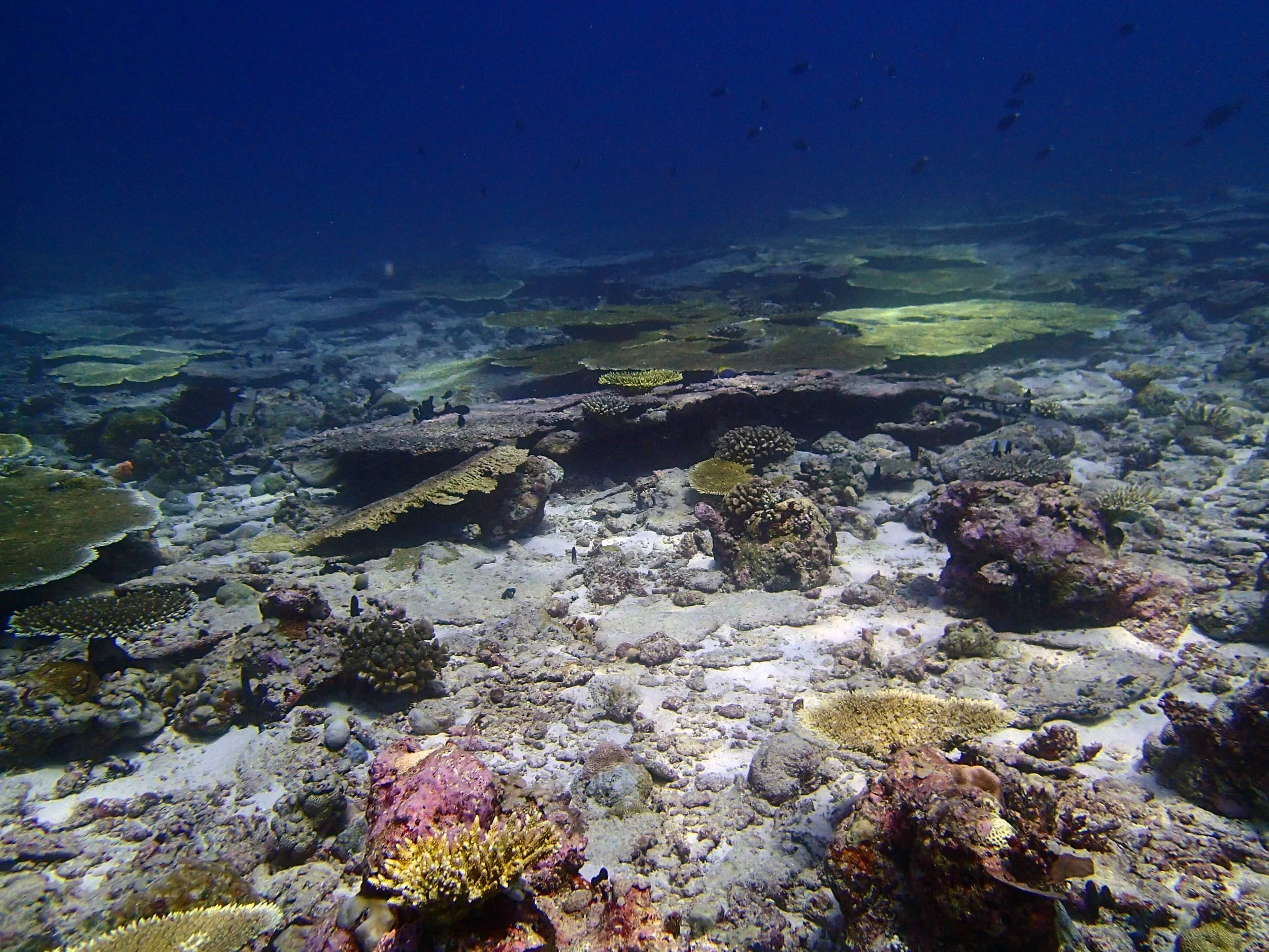 P4280904.jpg