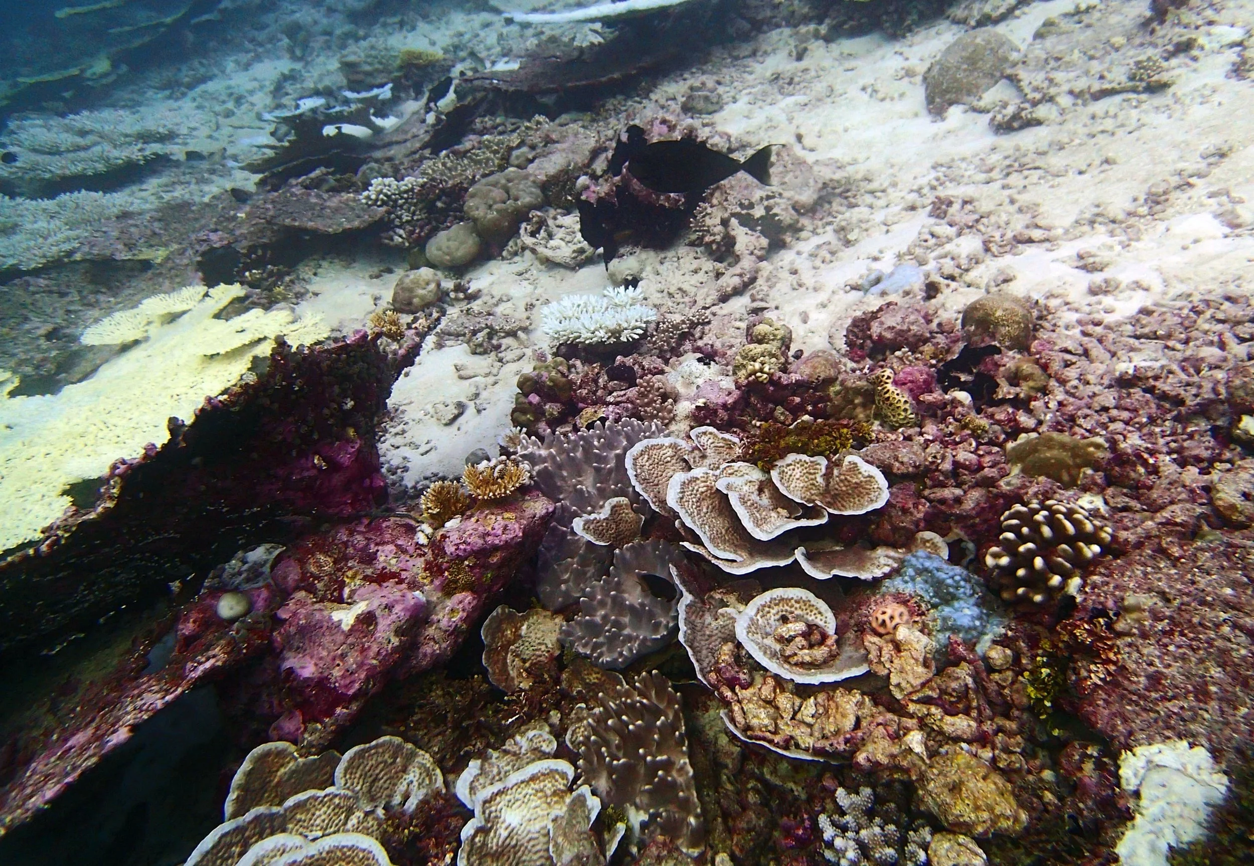 P4300844.jpg