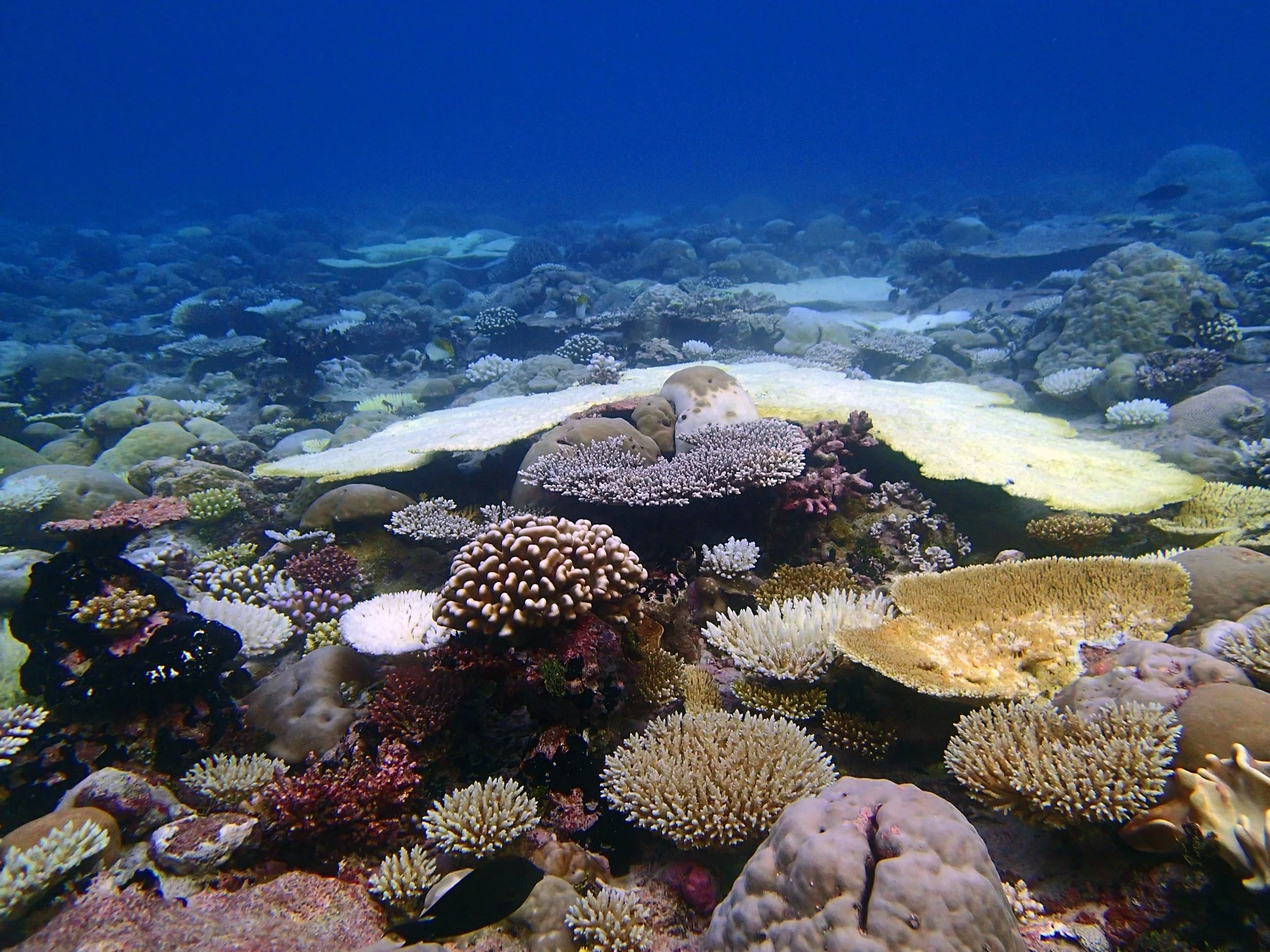 P4300871.jpg