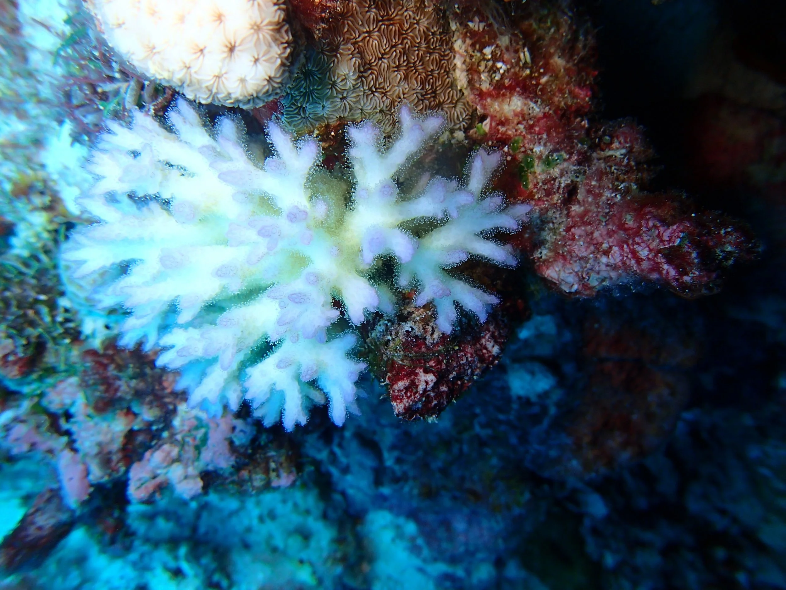 P5010887.jpg