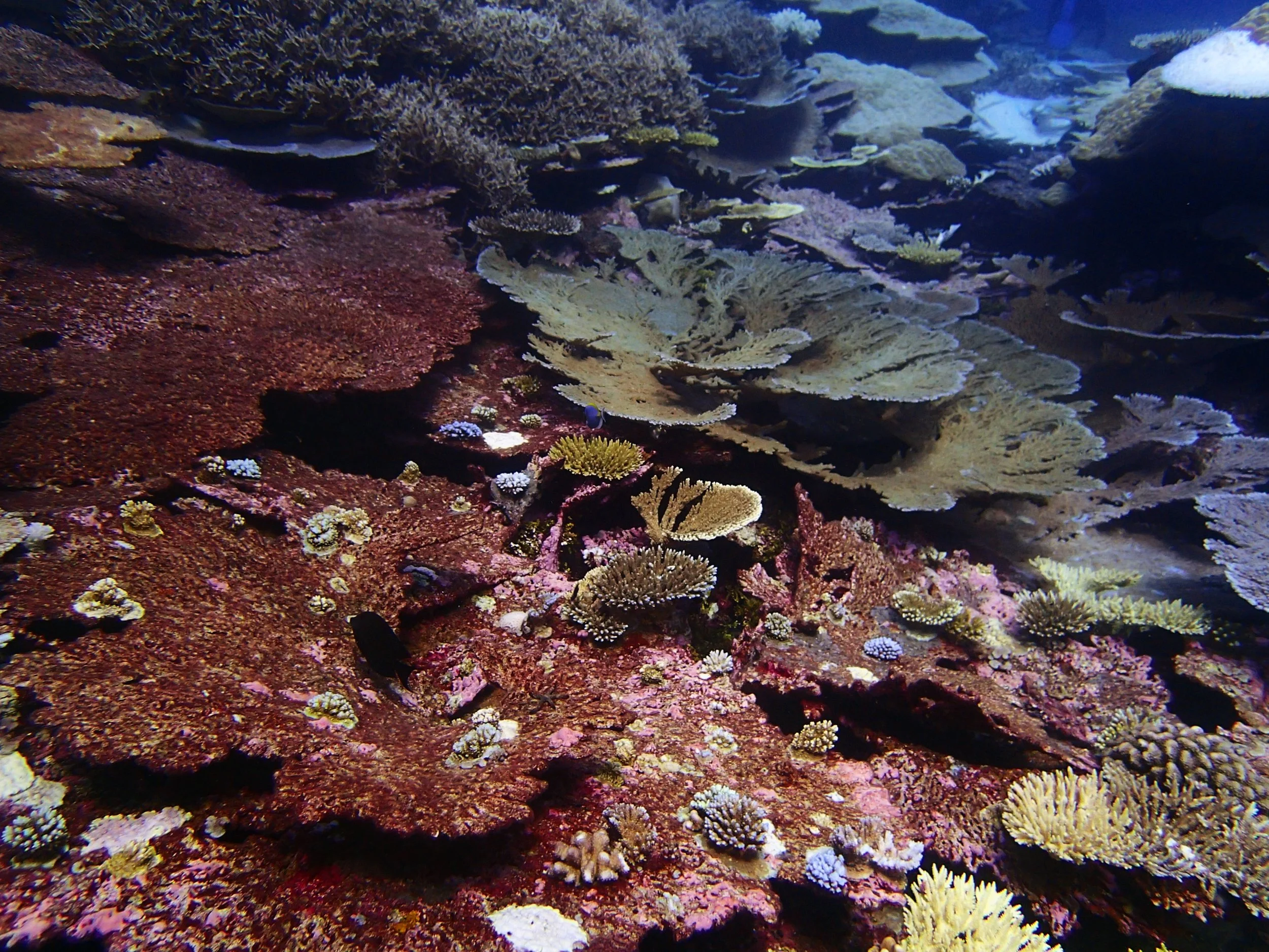 P5020919.jpg