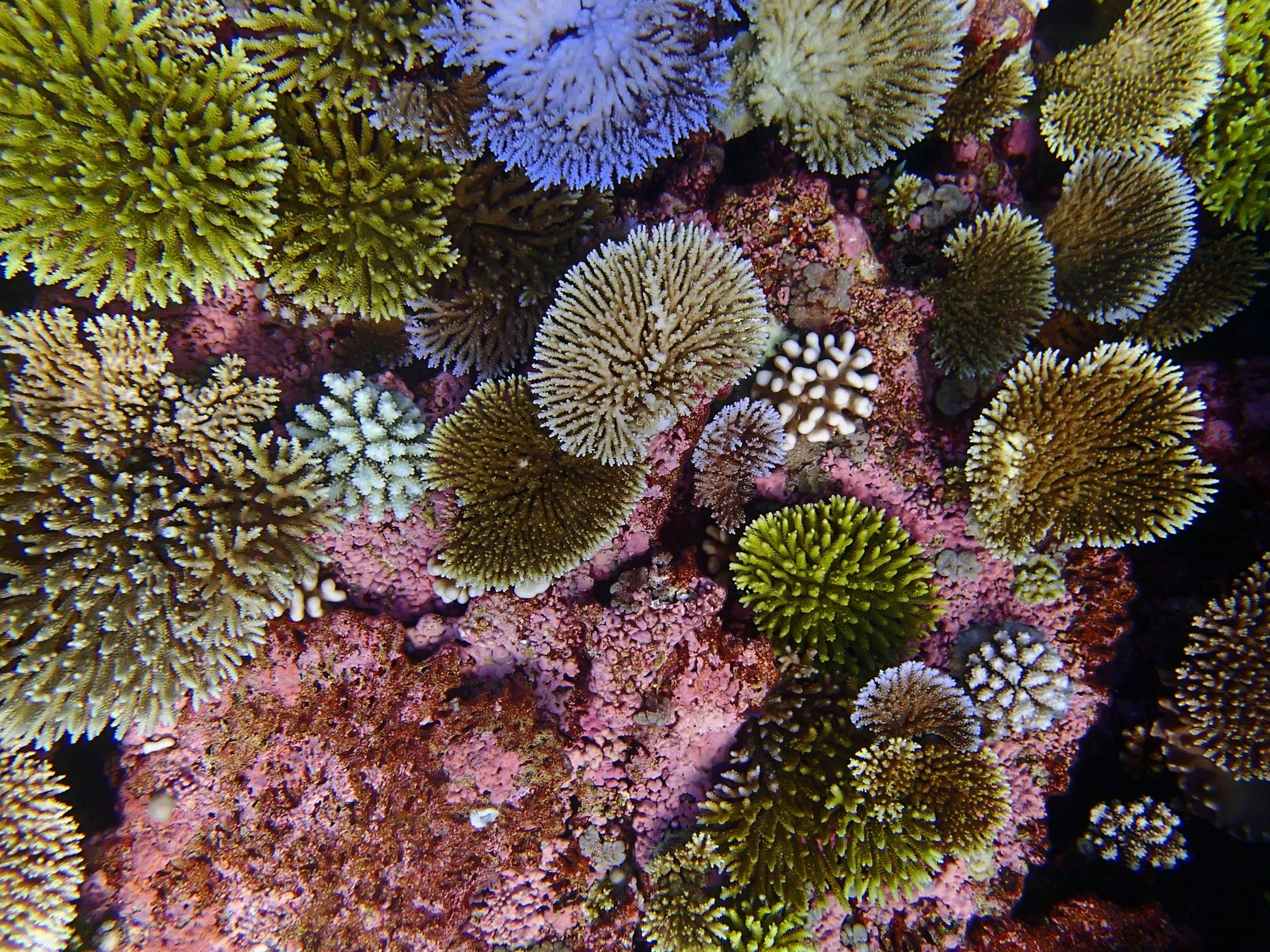 P5020939.jpg
