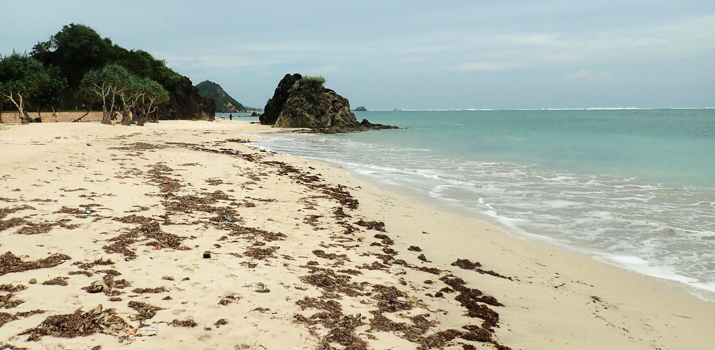 Kuta Beach Lombok.jpg