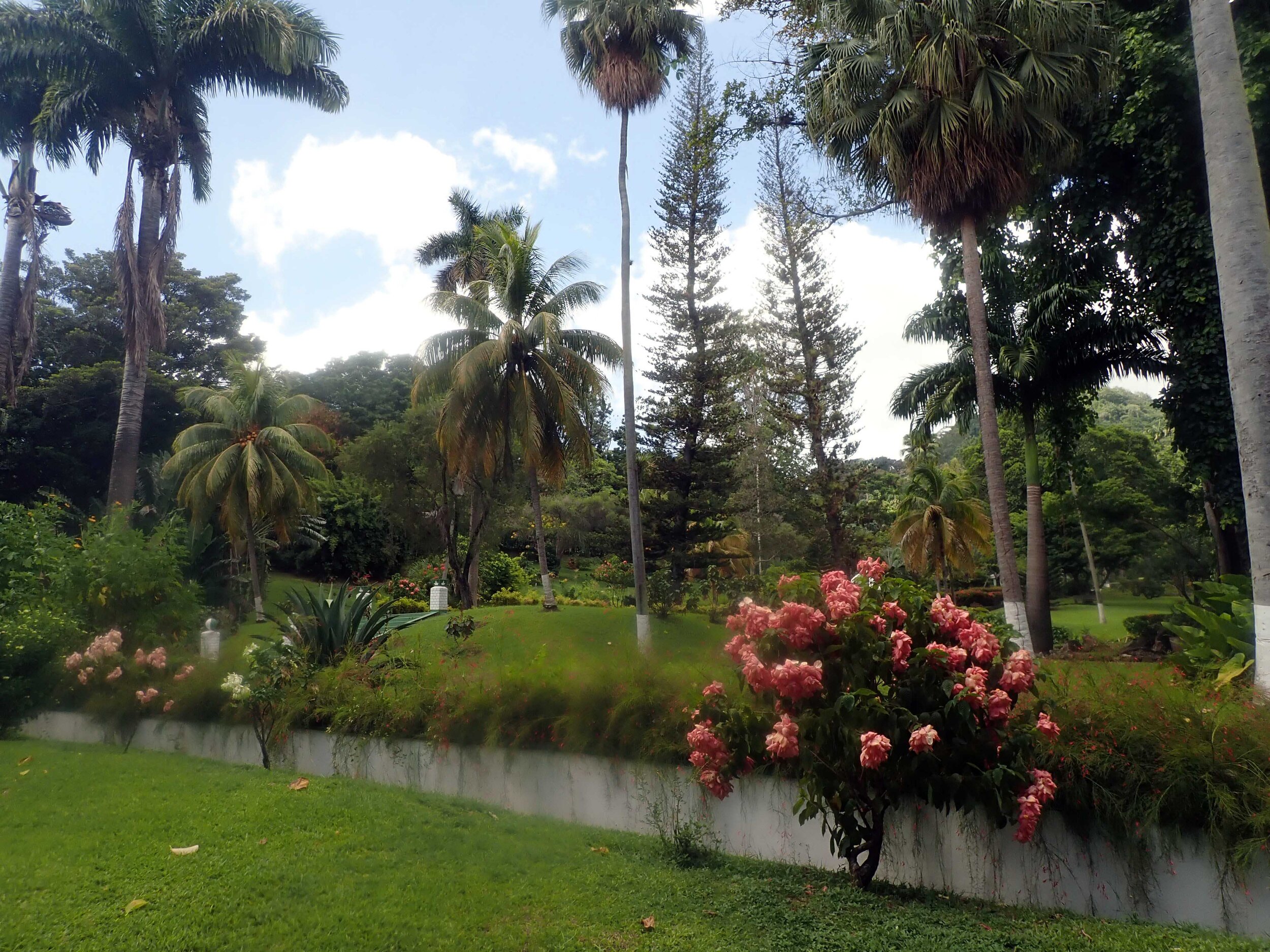 botanical gardens.jpg
