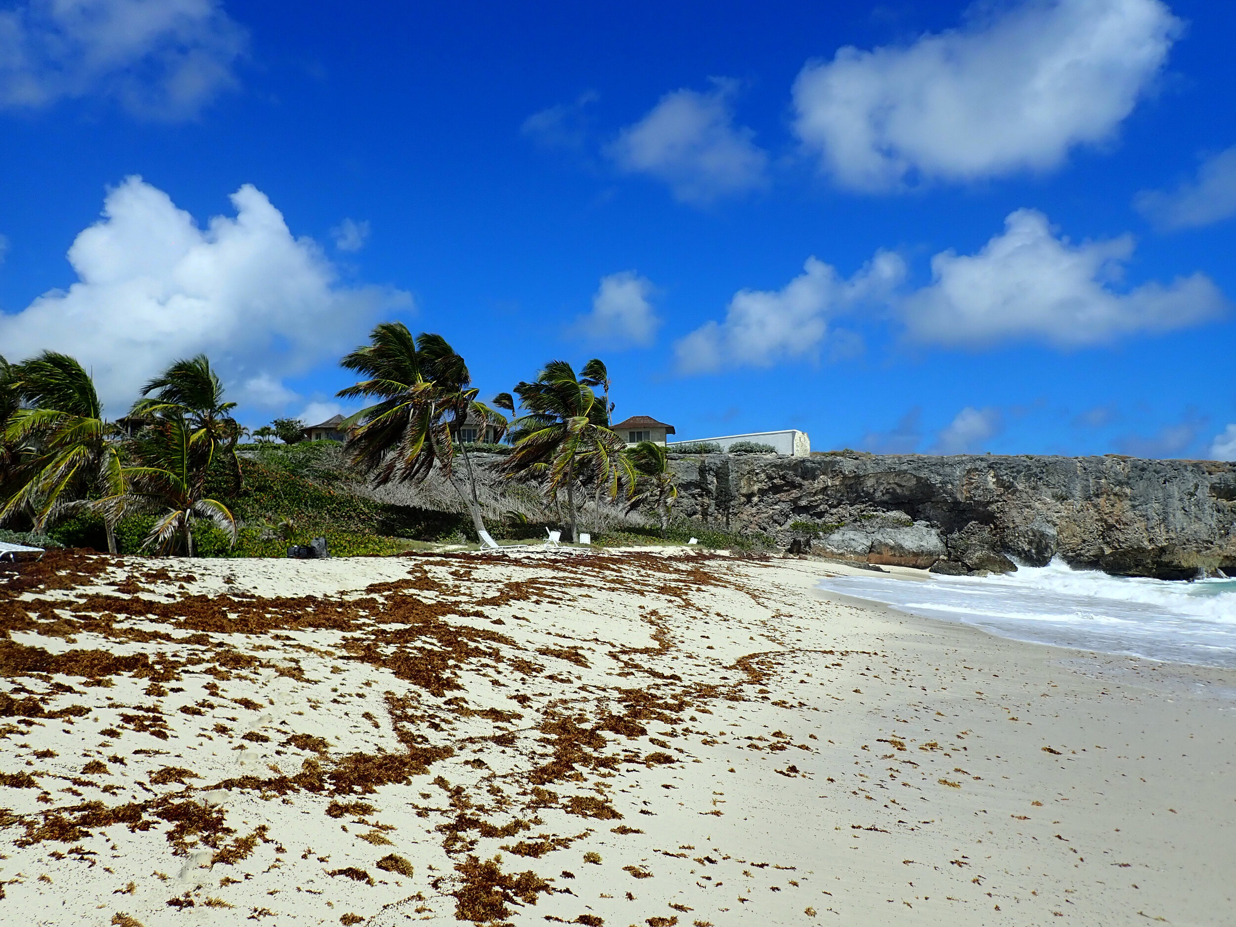 Bottom Bay stunner-last day.jpg