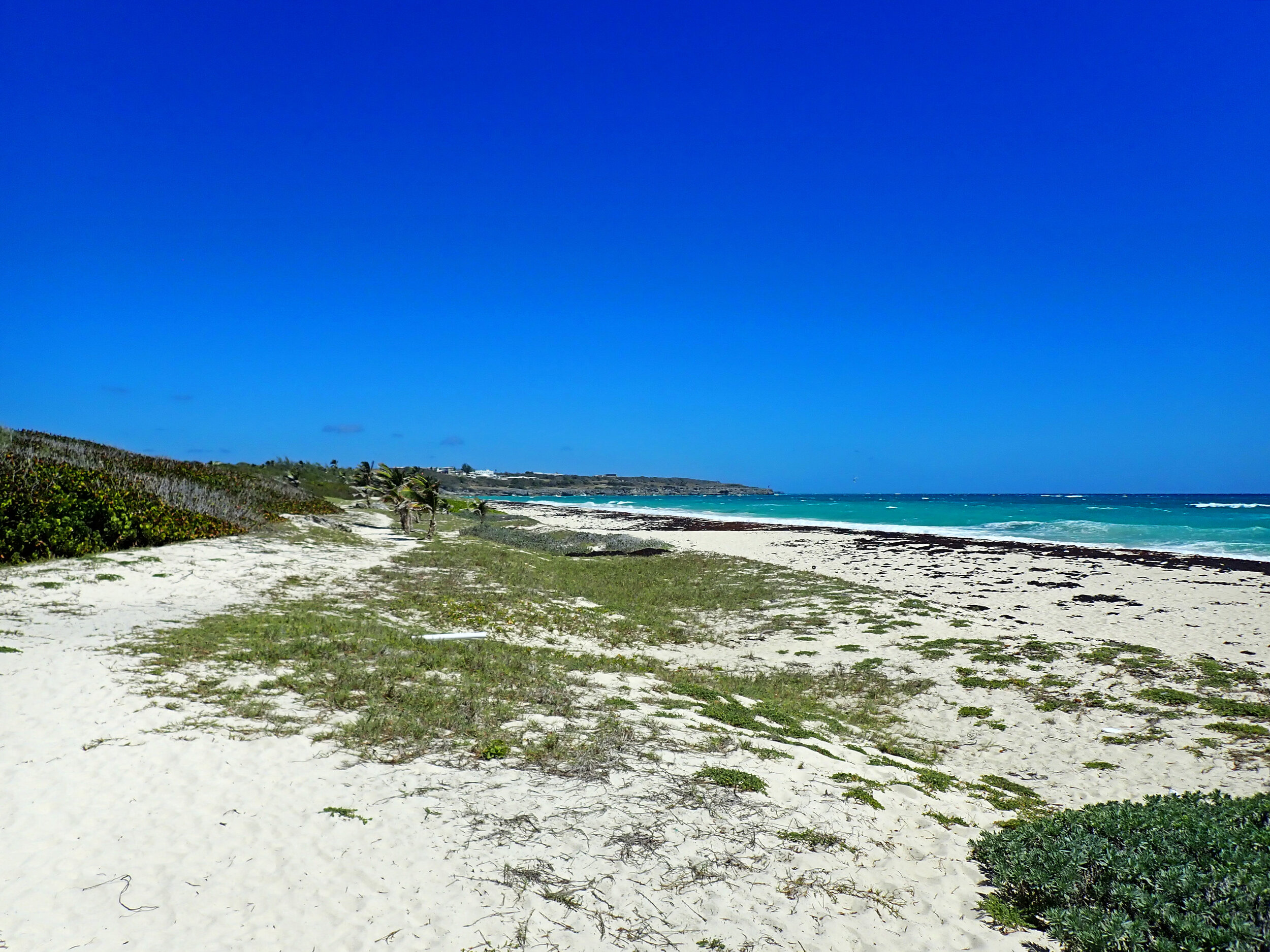 desolate beach.jpg