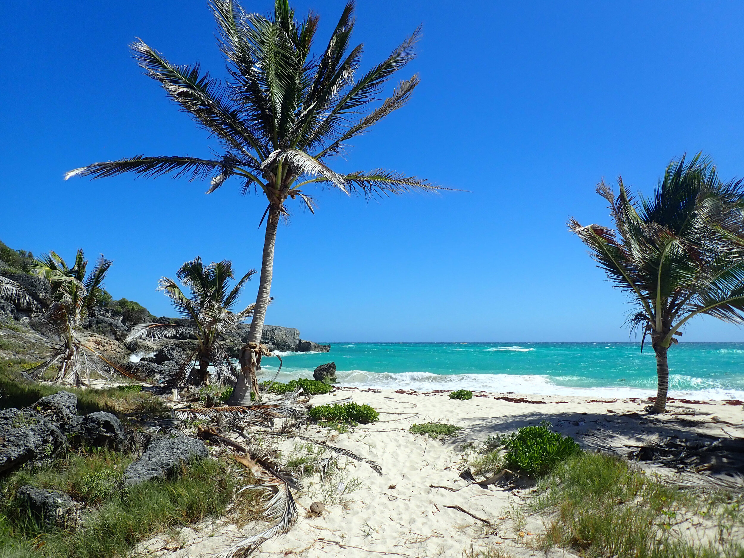 remote beach wander.jpg