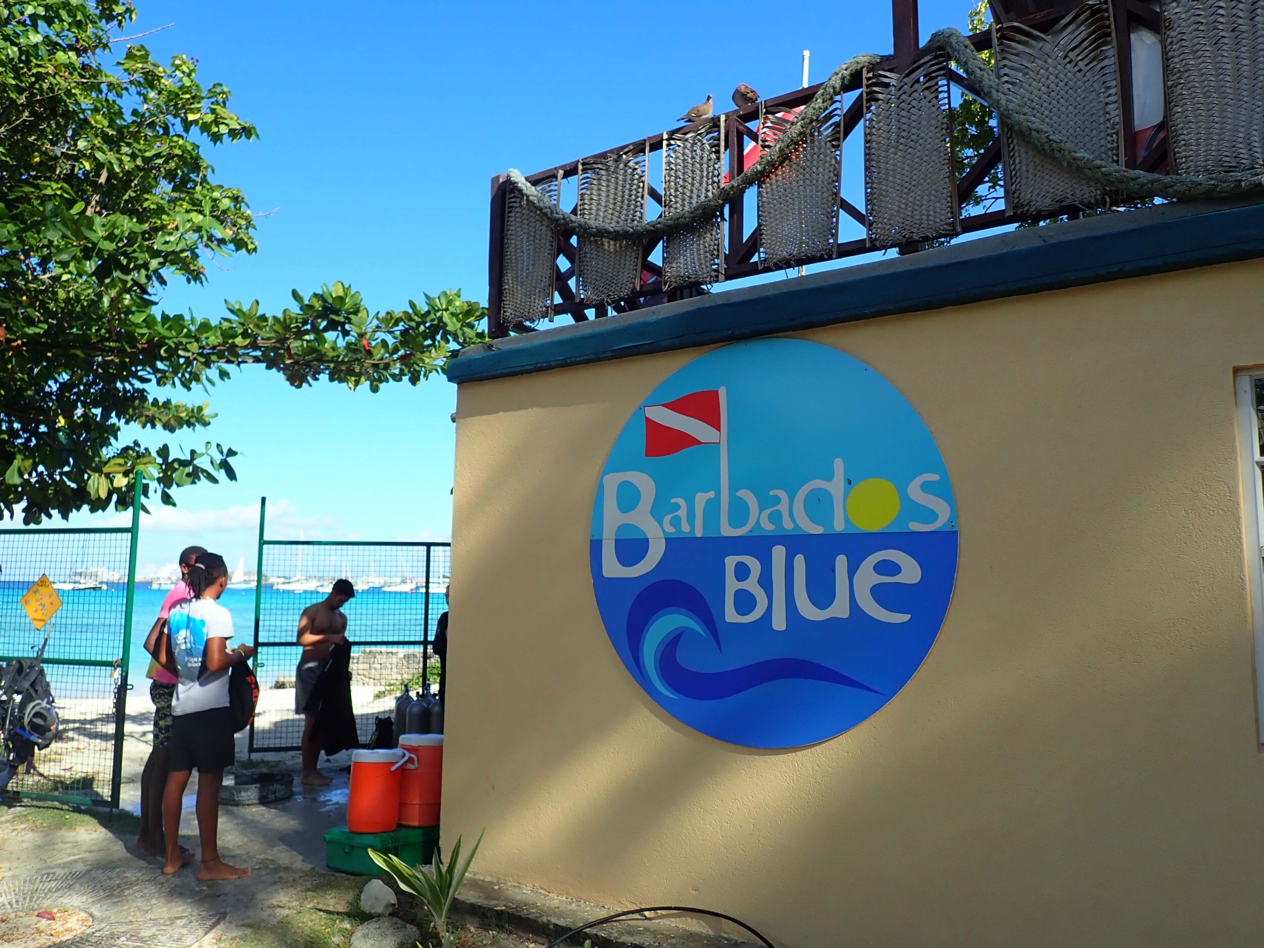 Barbados Blue.jpg