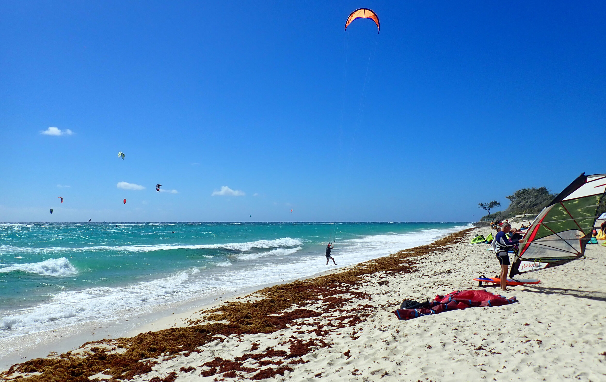 windsurfers at Silver Sands.jpg