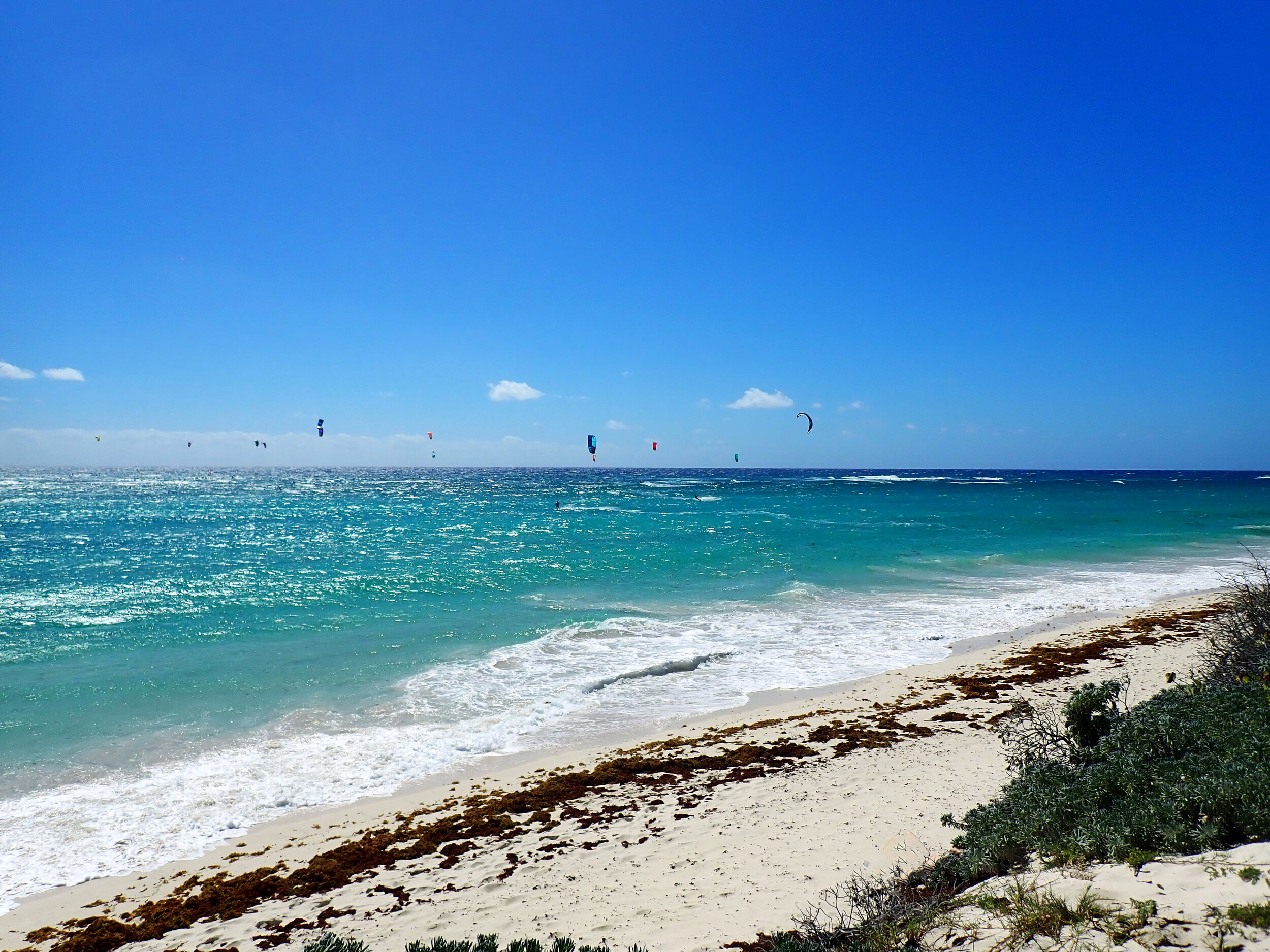 windsurfers.jpg