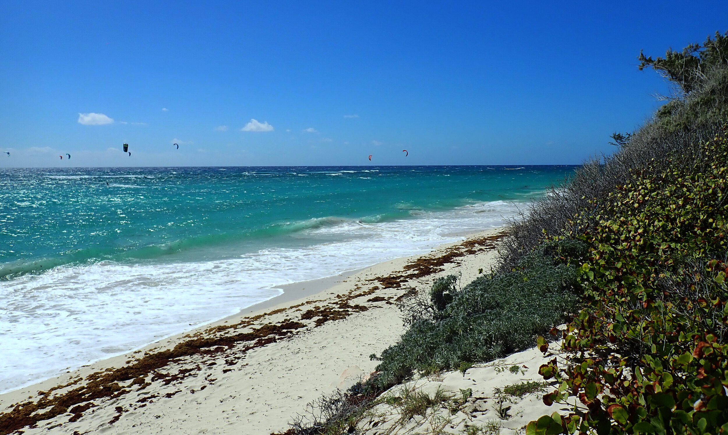 windsurfer beach.jpg