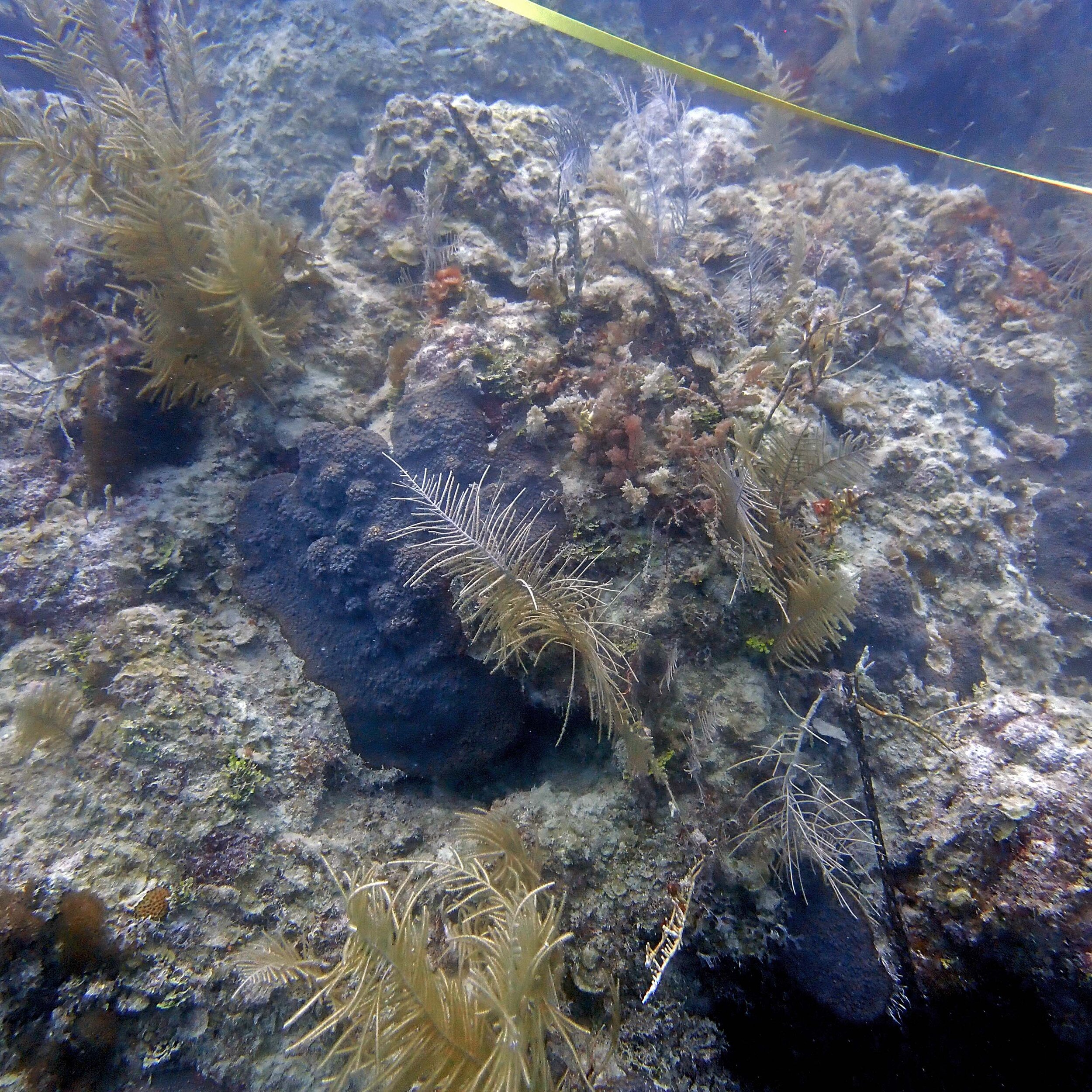 P6260643.JPG
