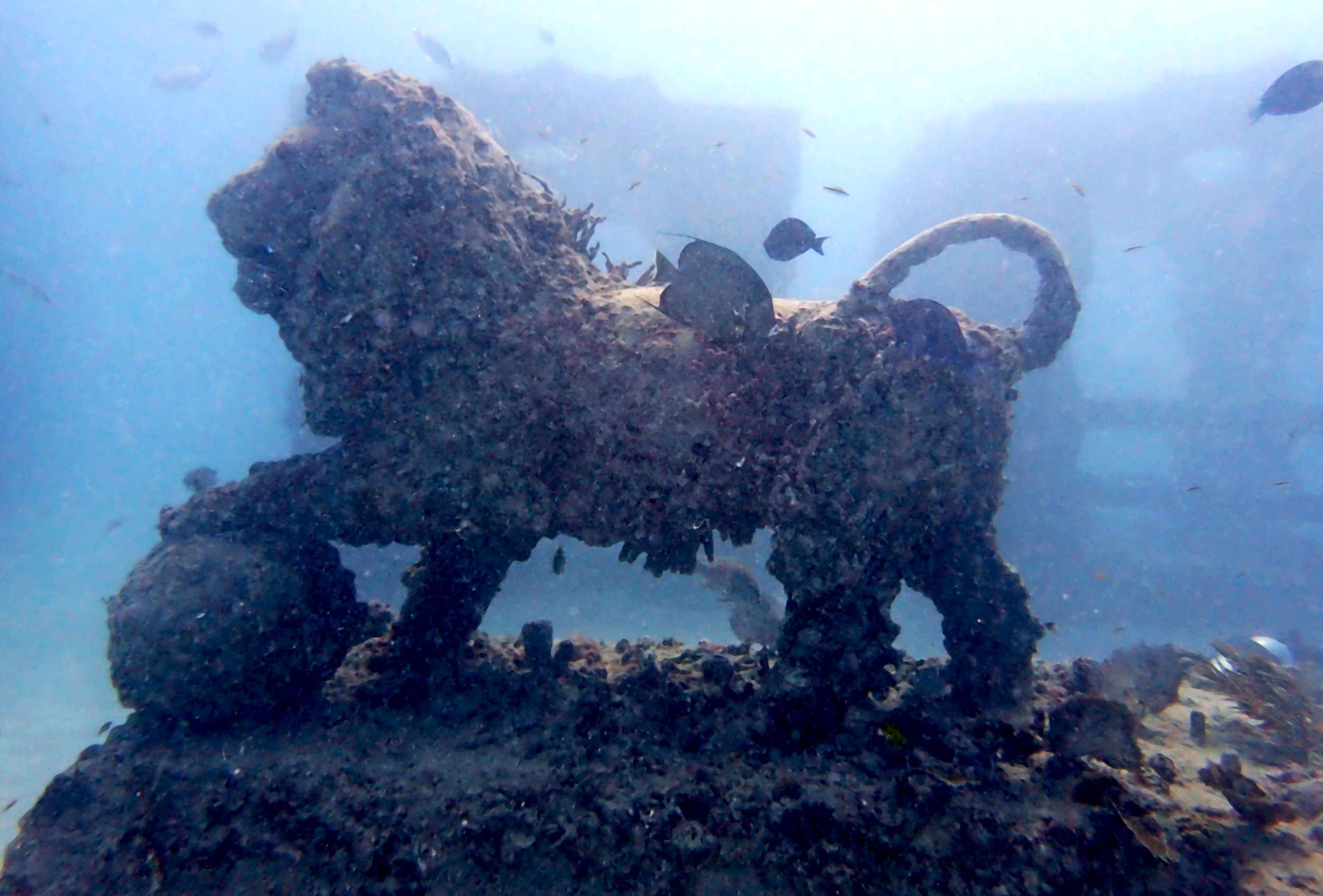 underwater lion.jpg