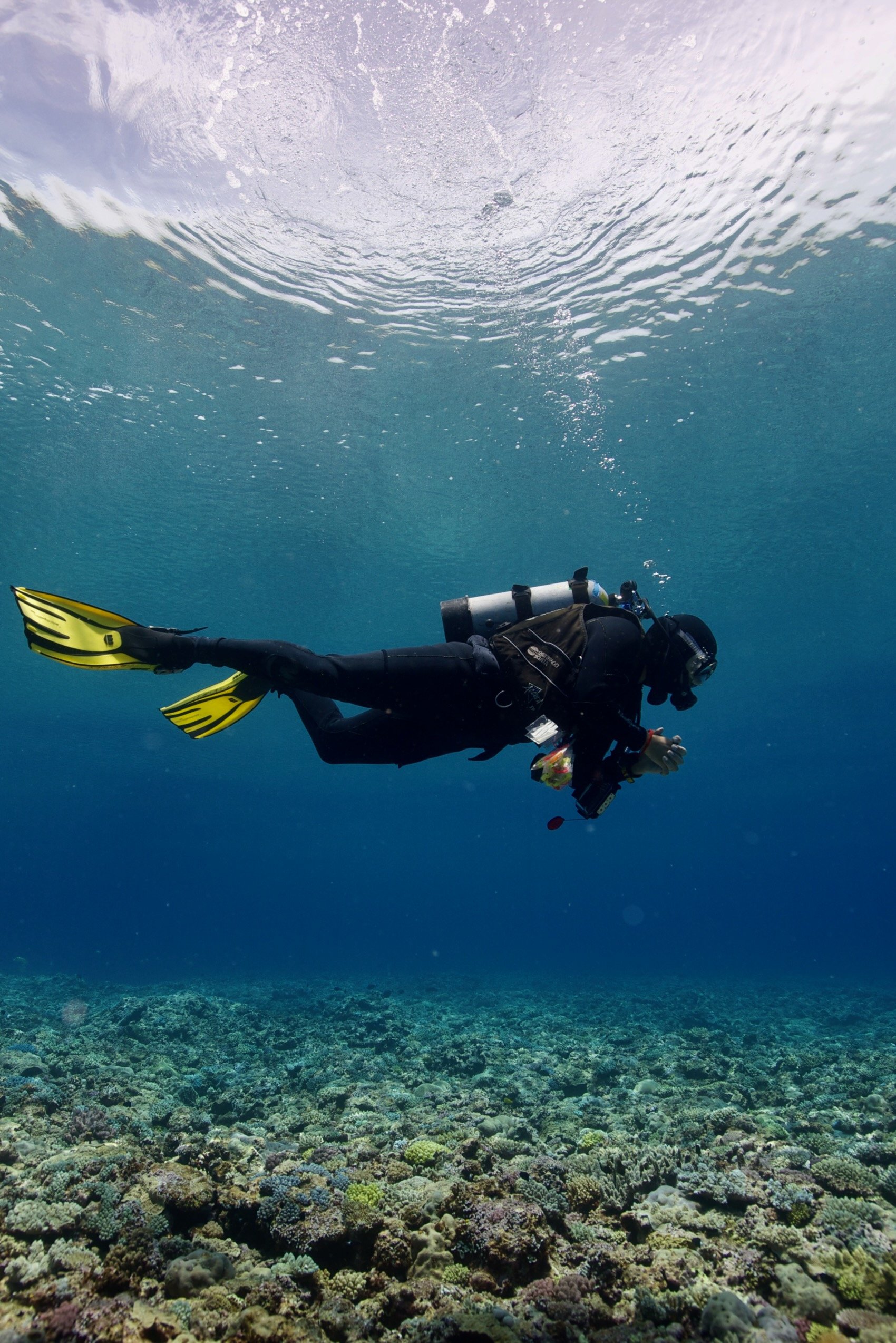 me in NC by Joao.jpeg