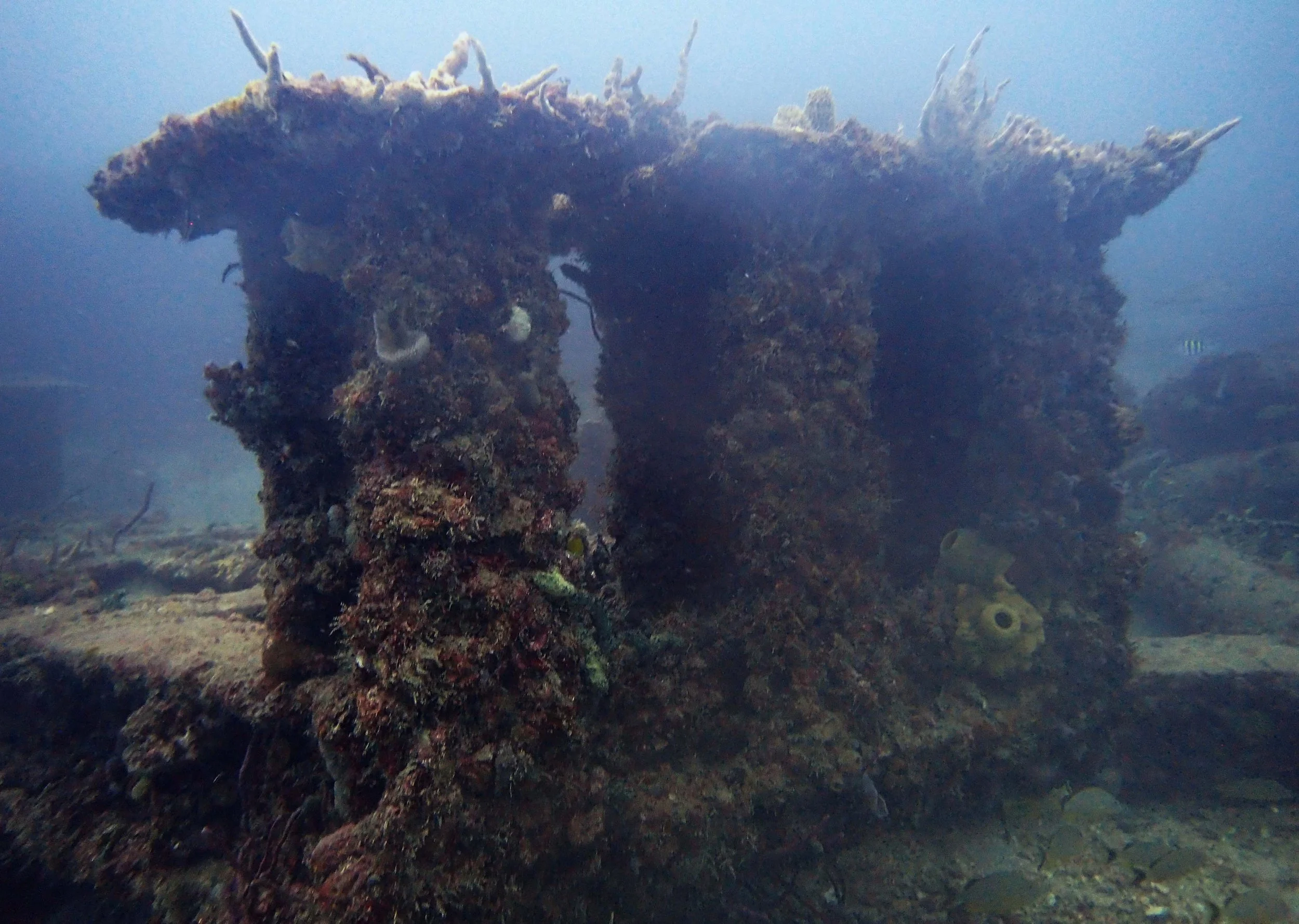 P4080539.JPG