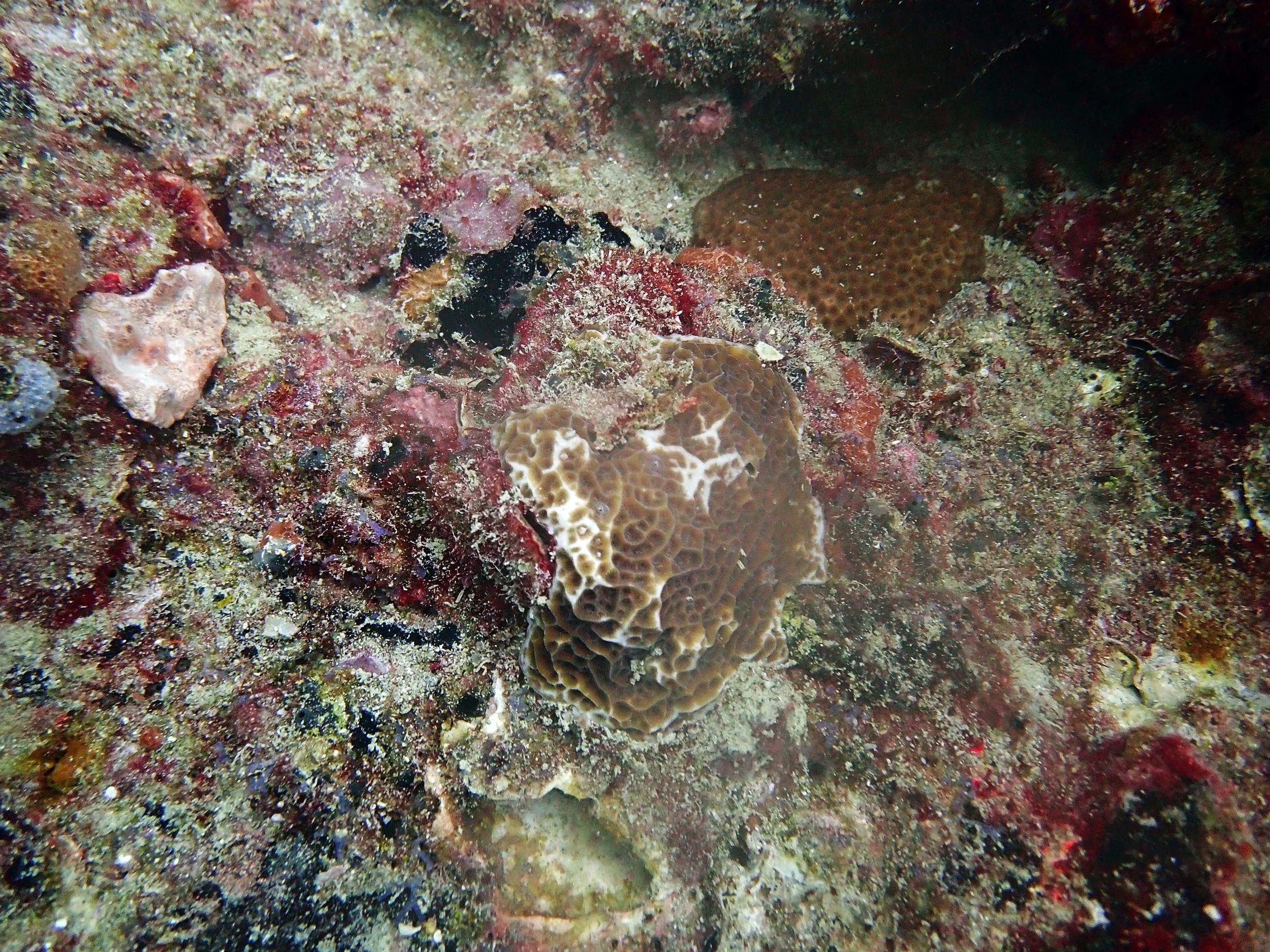 P4080541.JPG