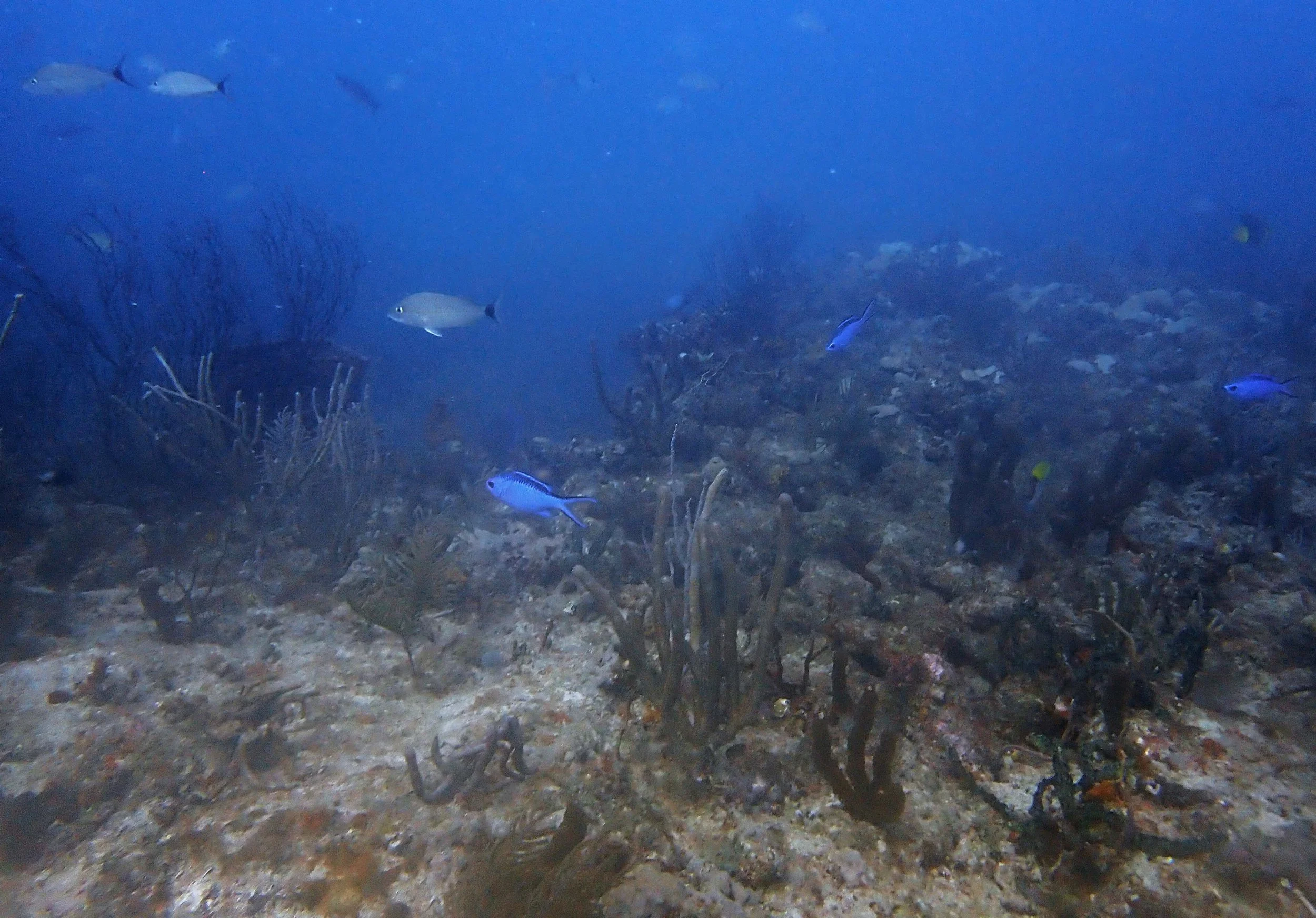 P4080554.JPG