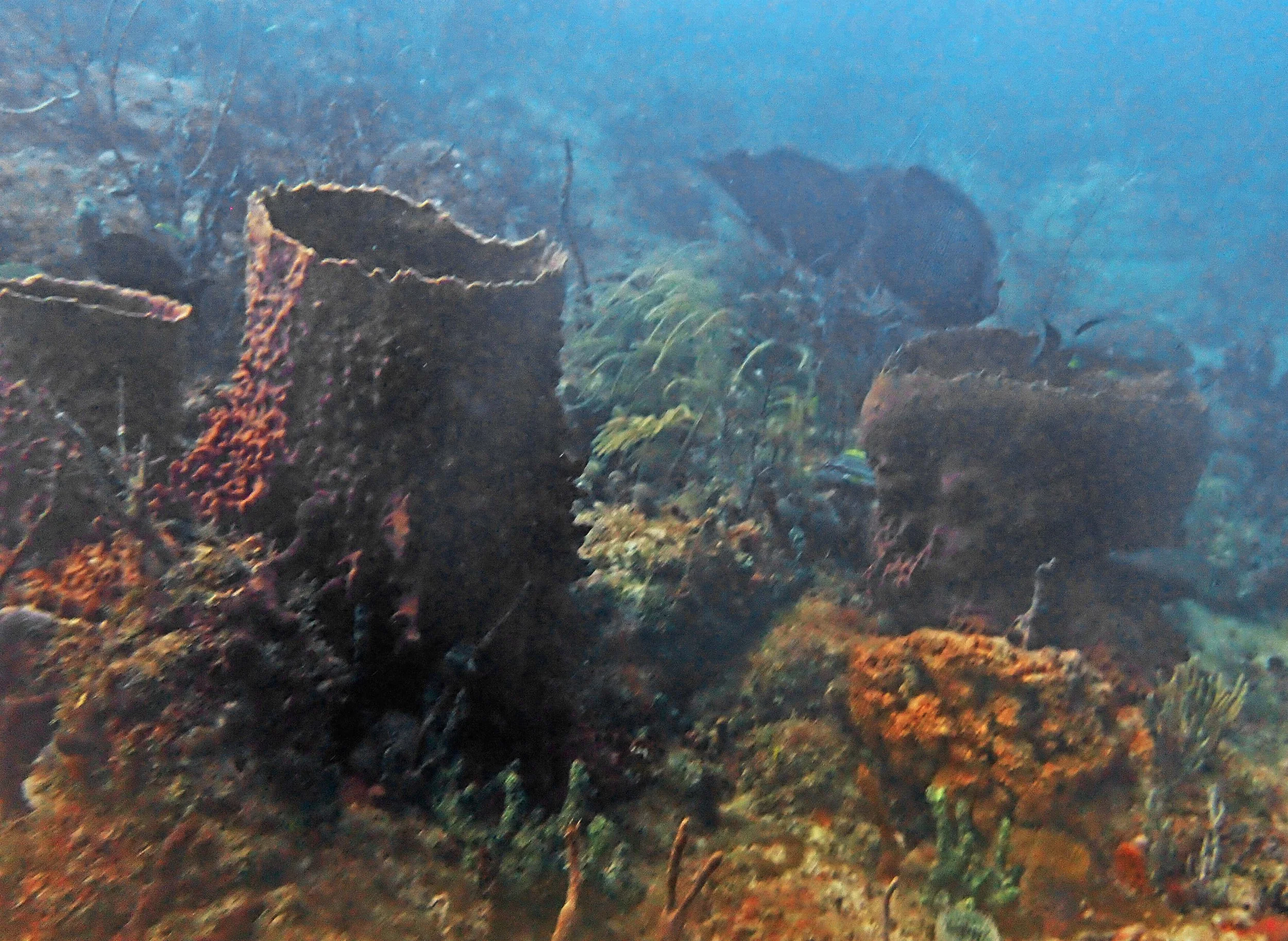 P4080568.JPG
