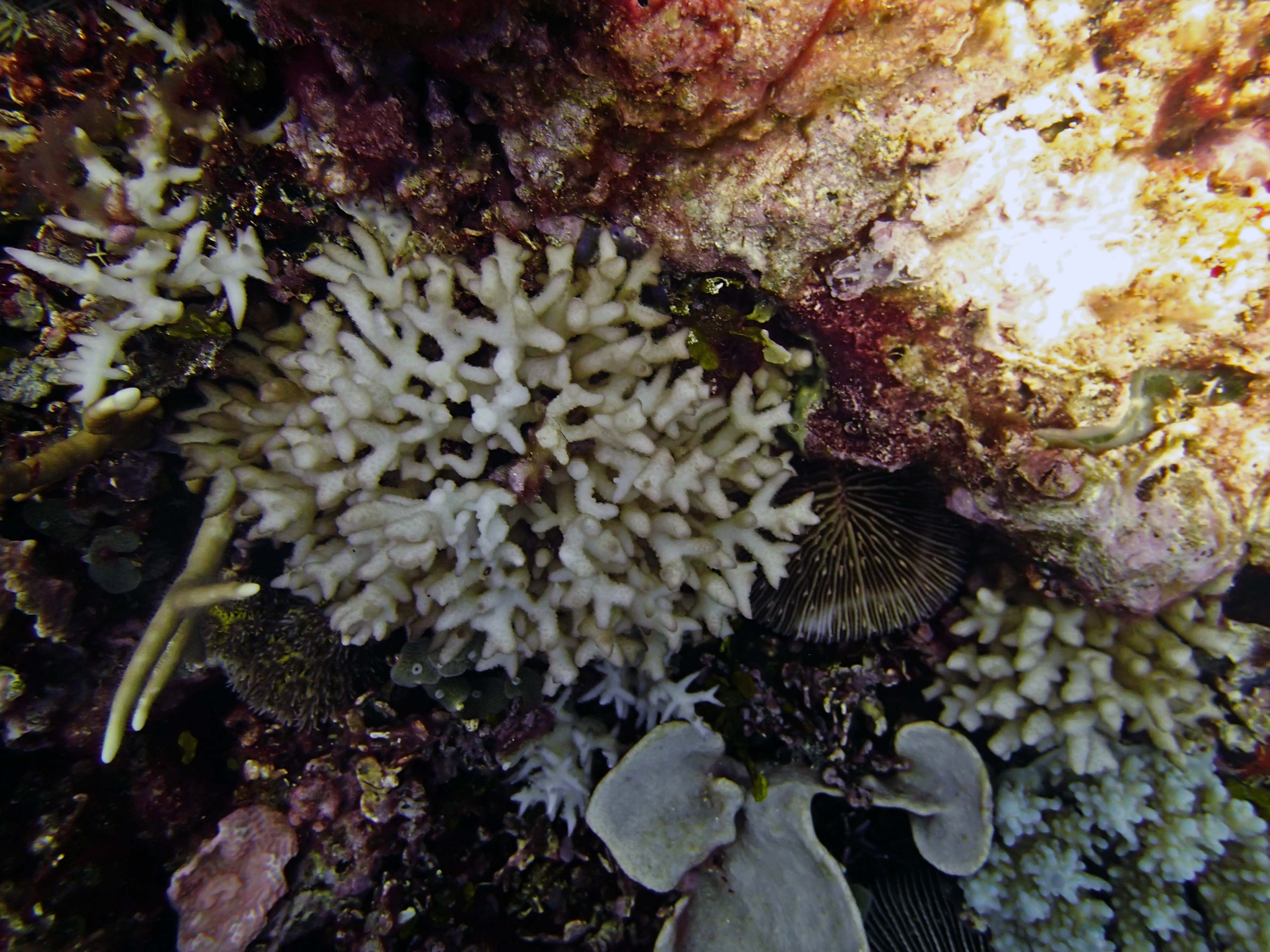 P9031126.png