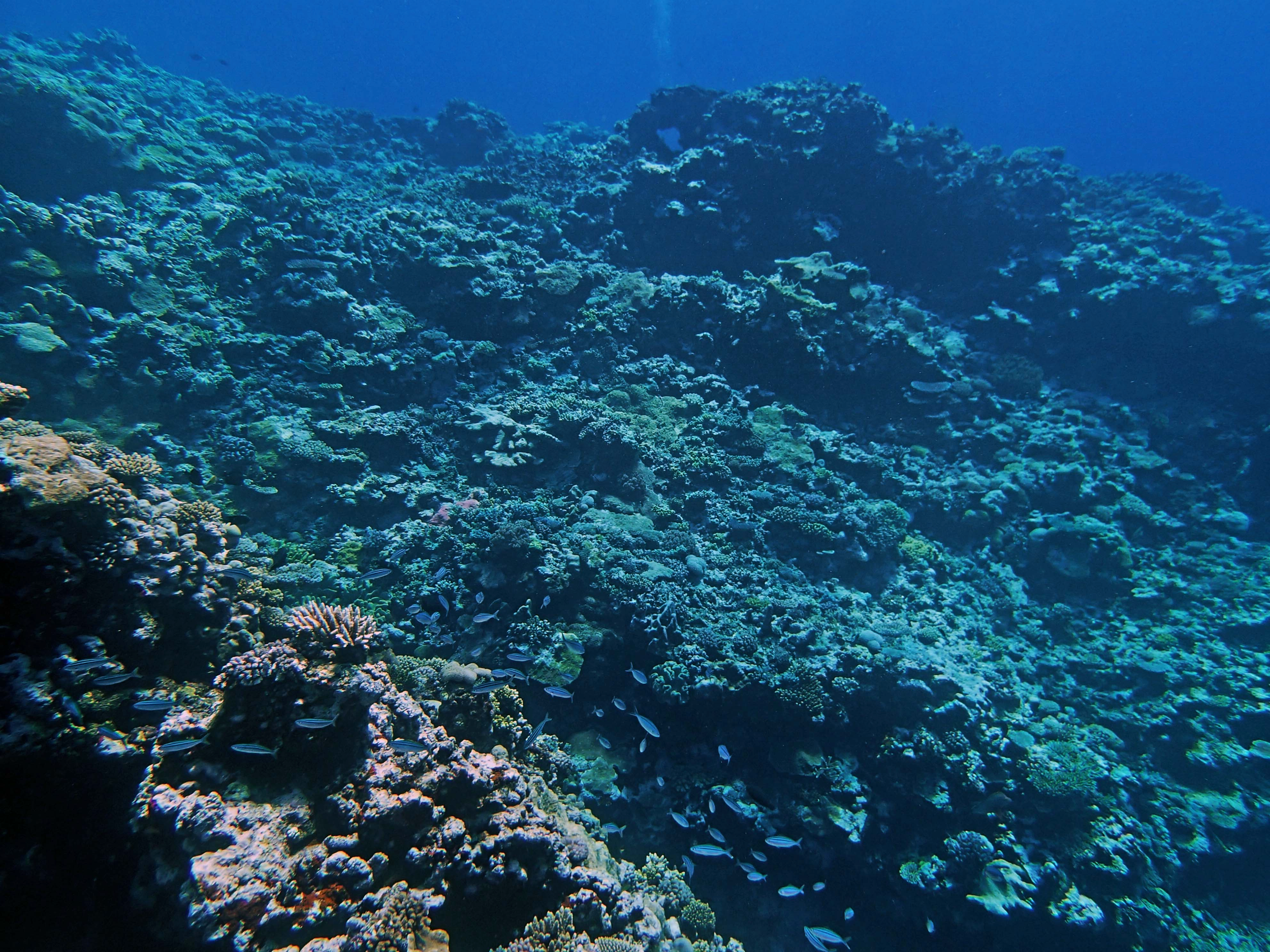 P9031130.png