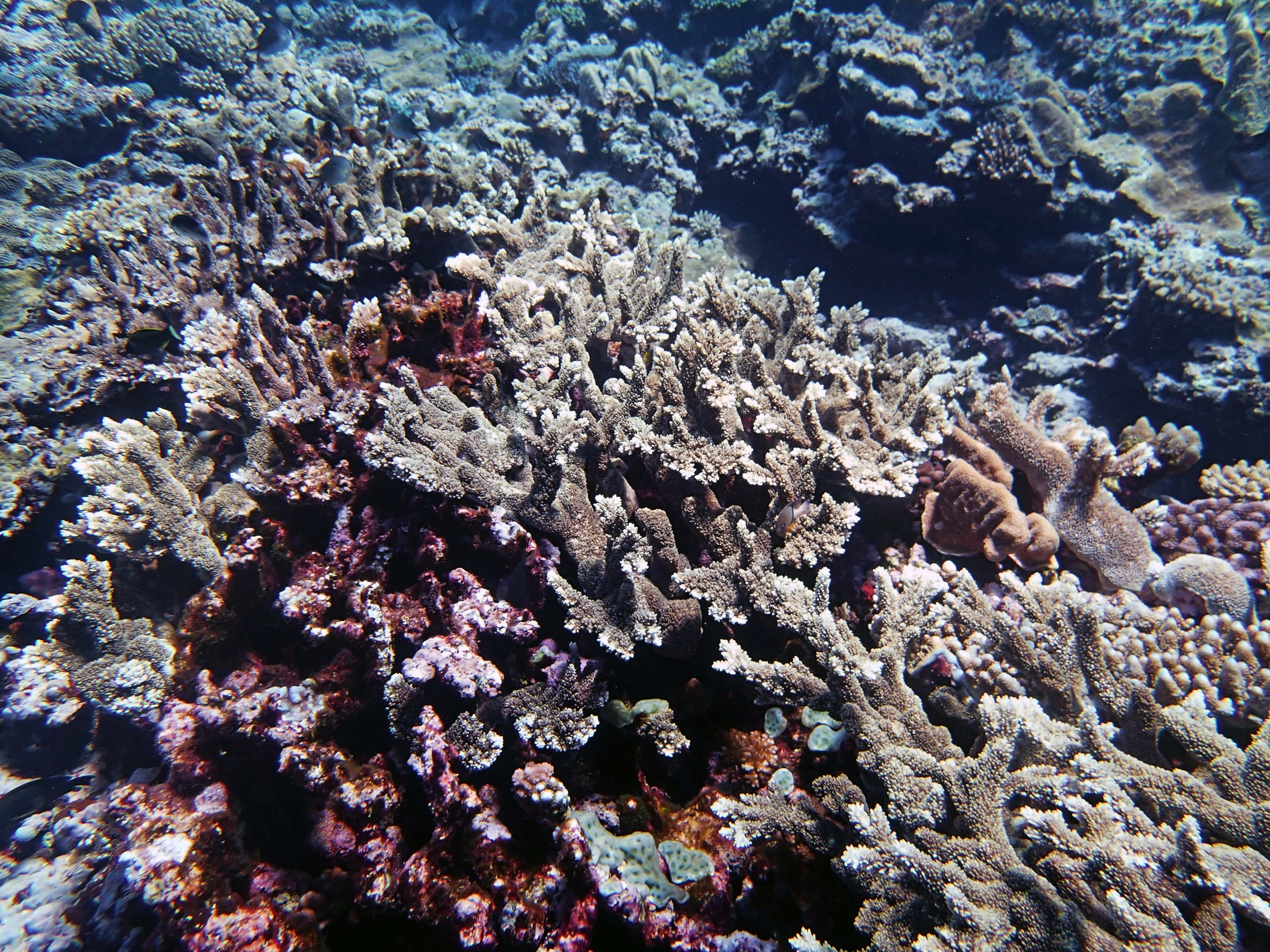 P9031131.png