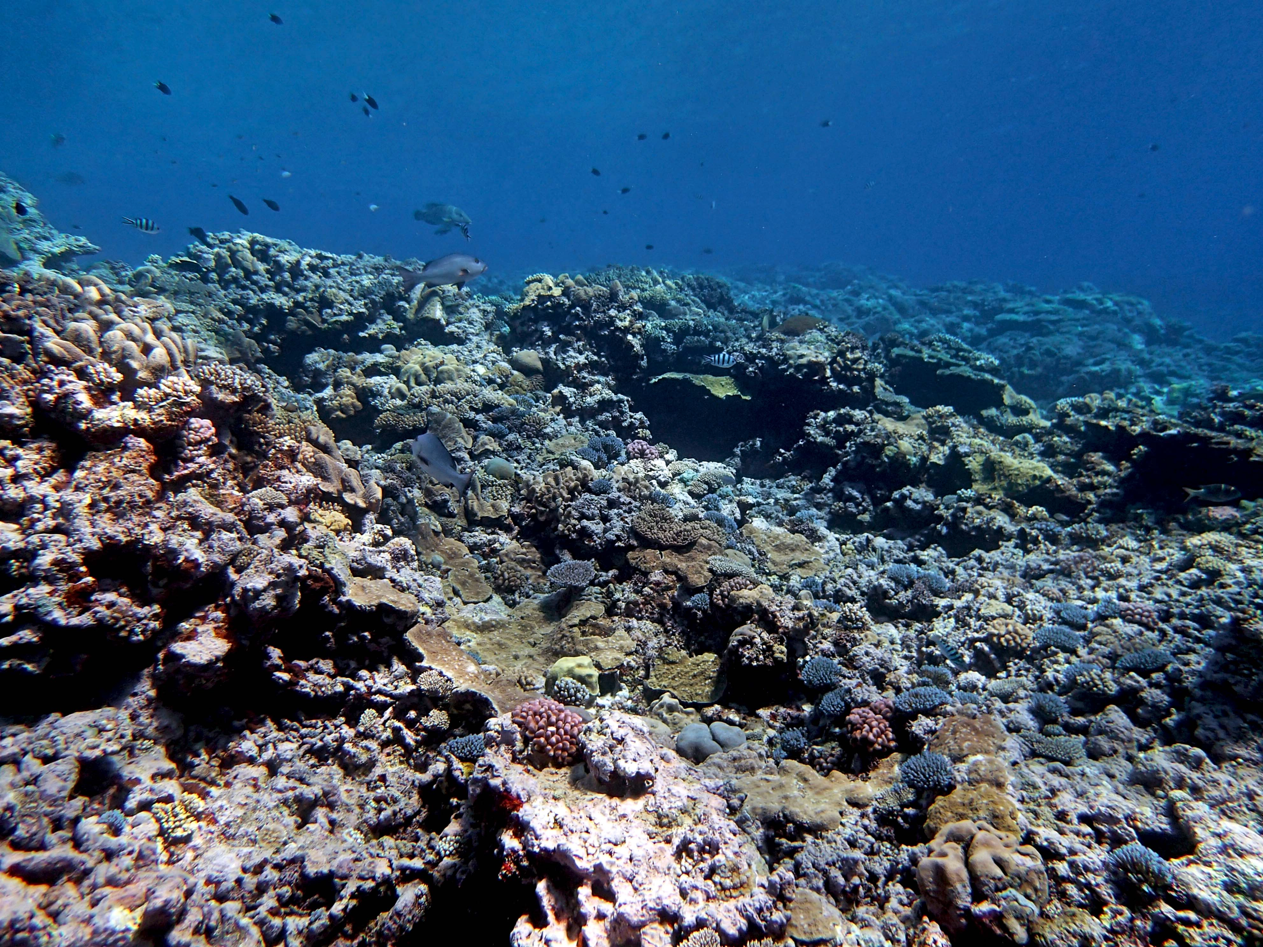 P9031132.png