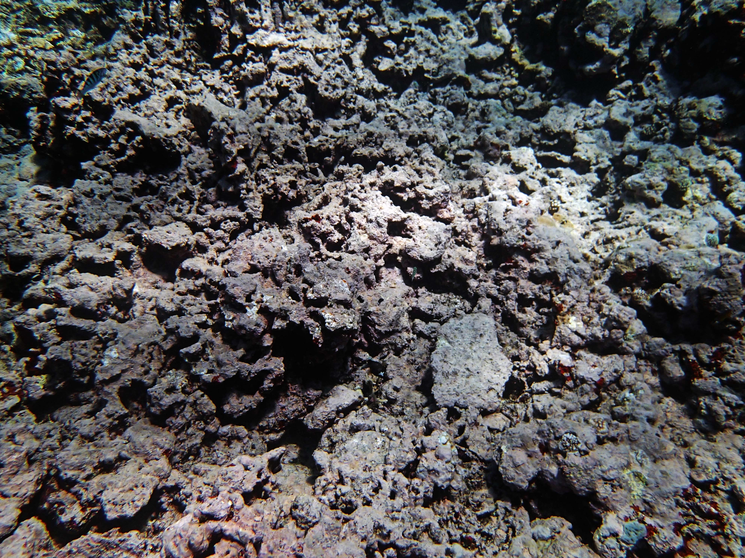 P9031134.png