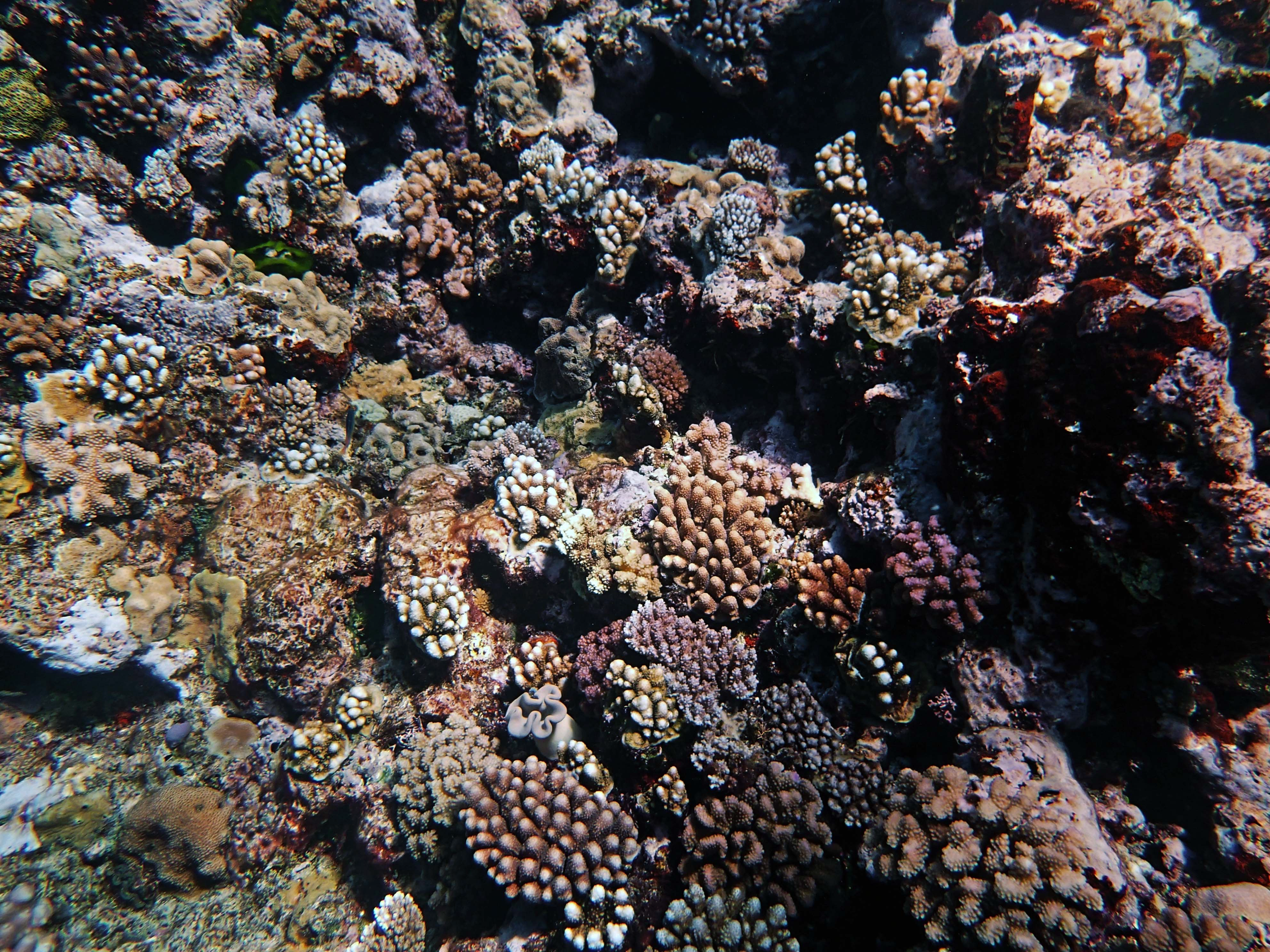 P9031135.png