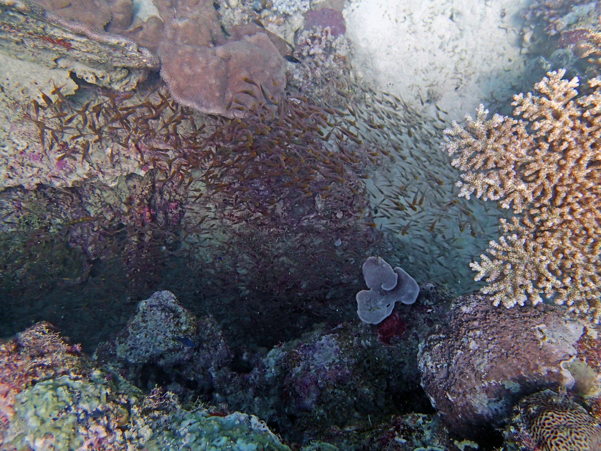 P9021166.png