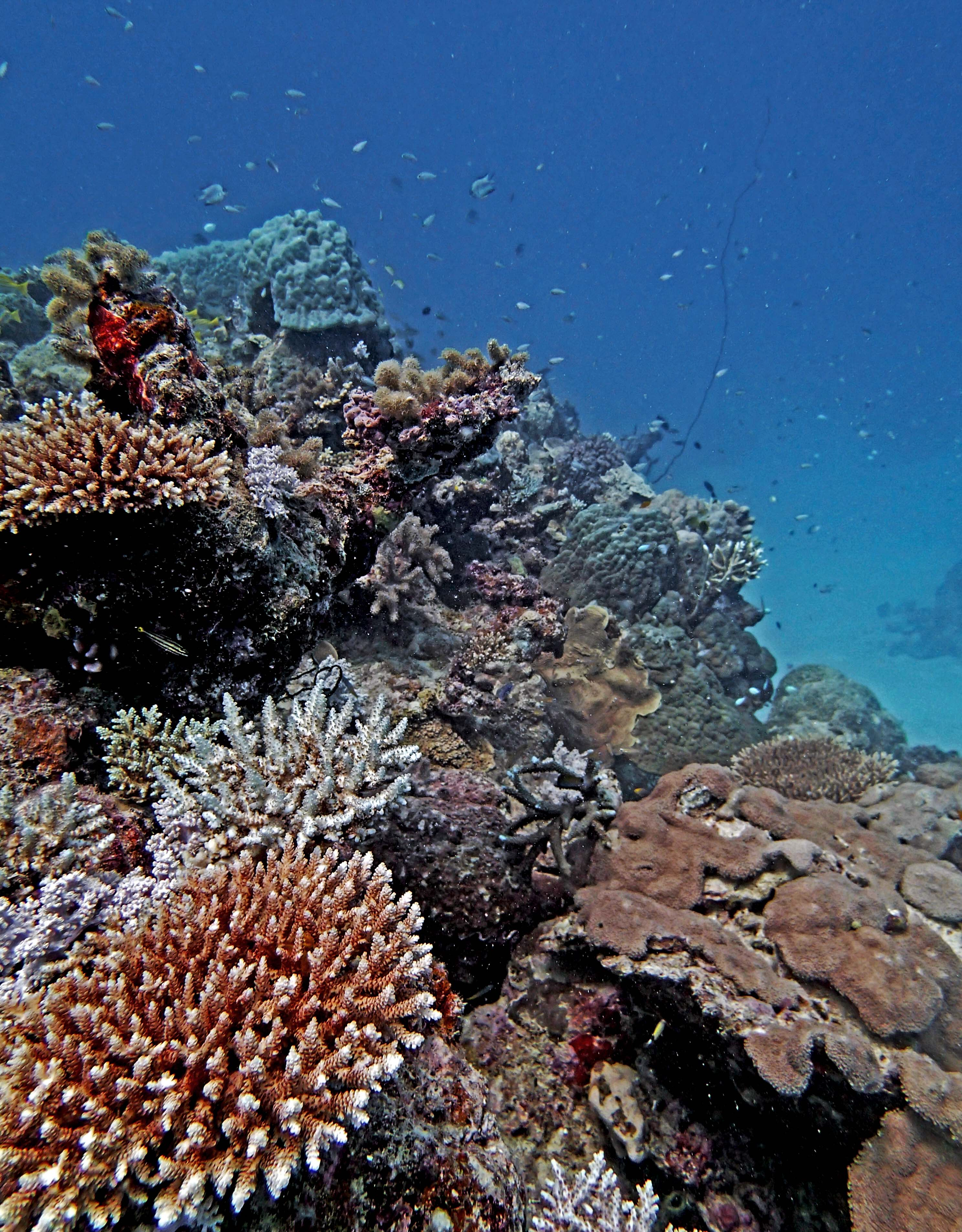 P9021167.png